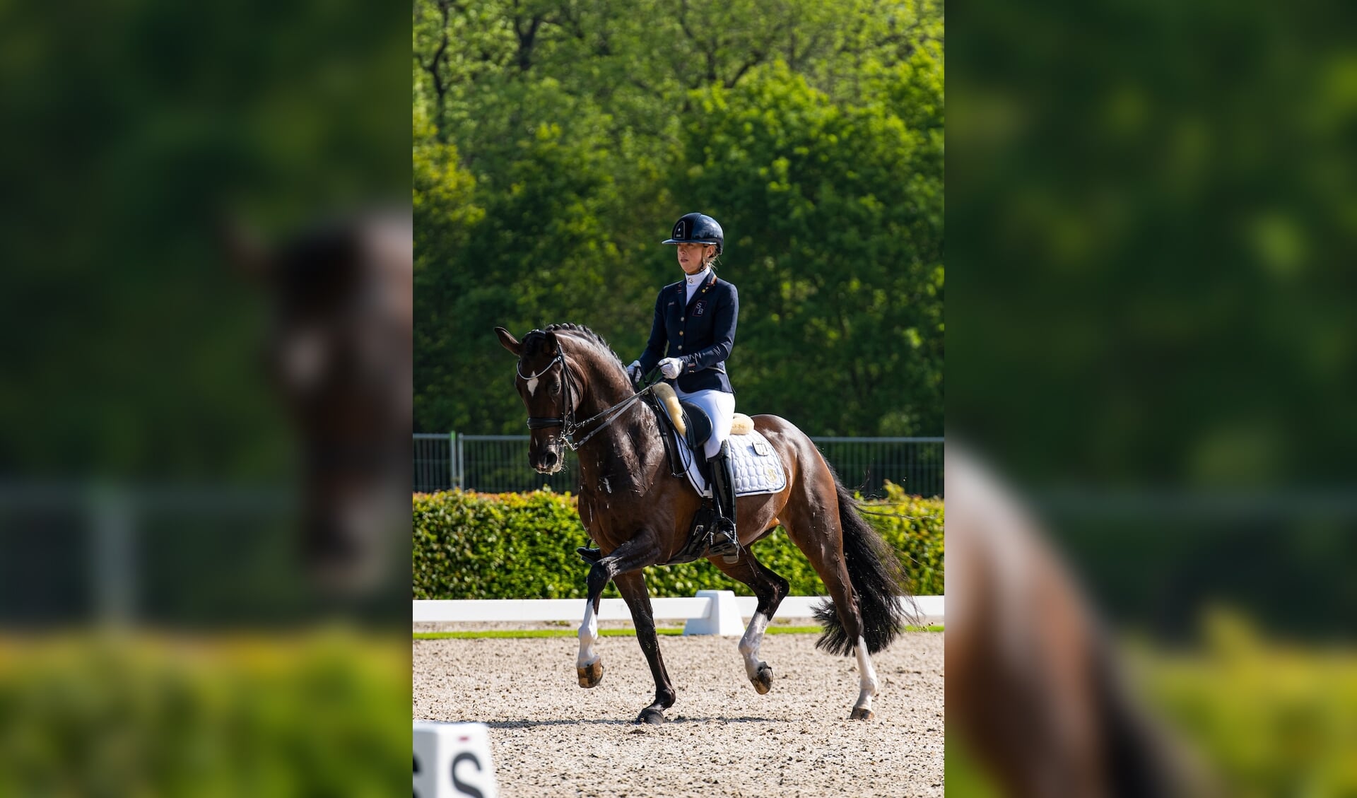 NK Dressuur Nederlands kampioen Kirsten Brouwer “Ik heb zitten