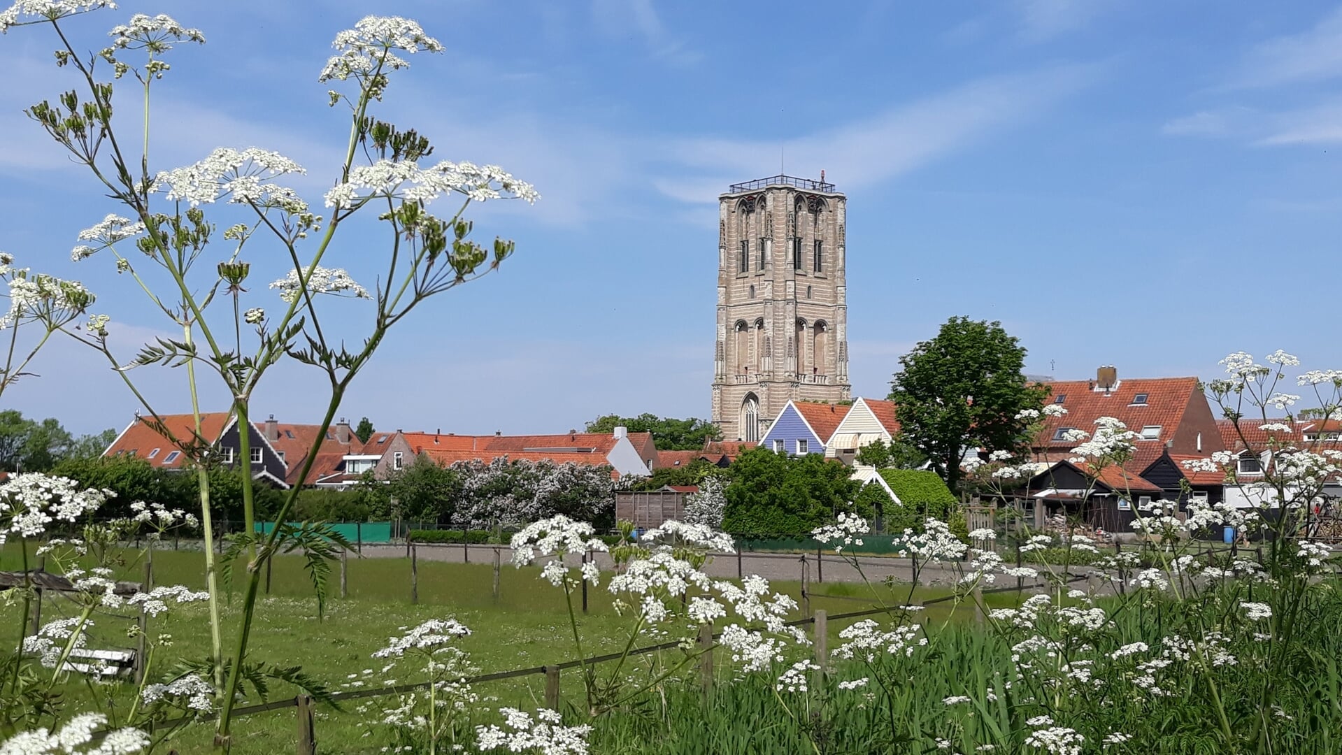 Dennis Vallenduuk geeft beiaardconcert in Goedereede