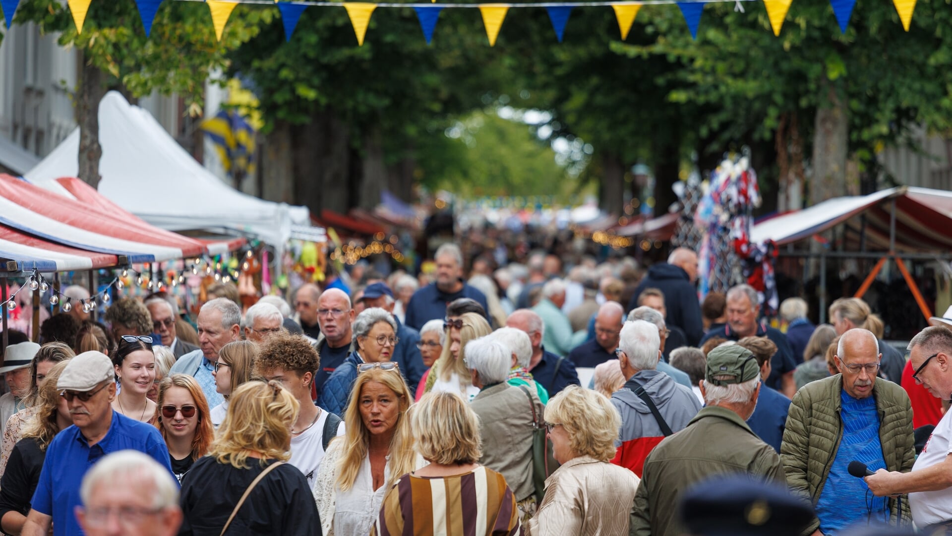 Holle Bolle Dag: bruisend dorpsfeest