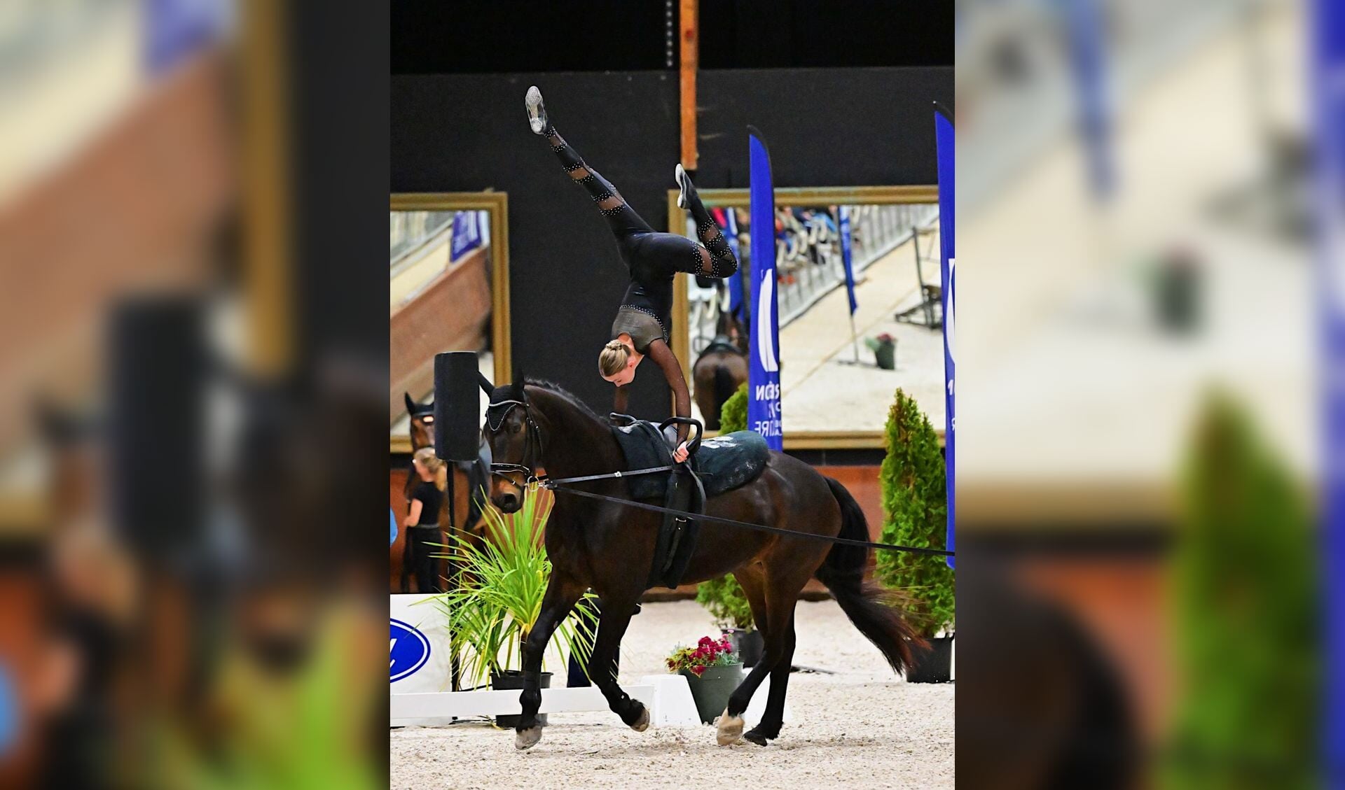 Yara Zomer Nederlands Kampioen Voltige.
