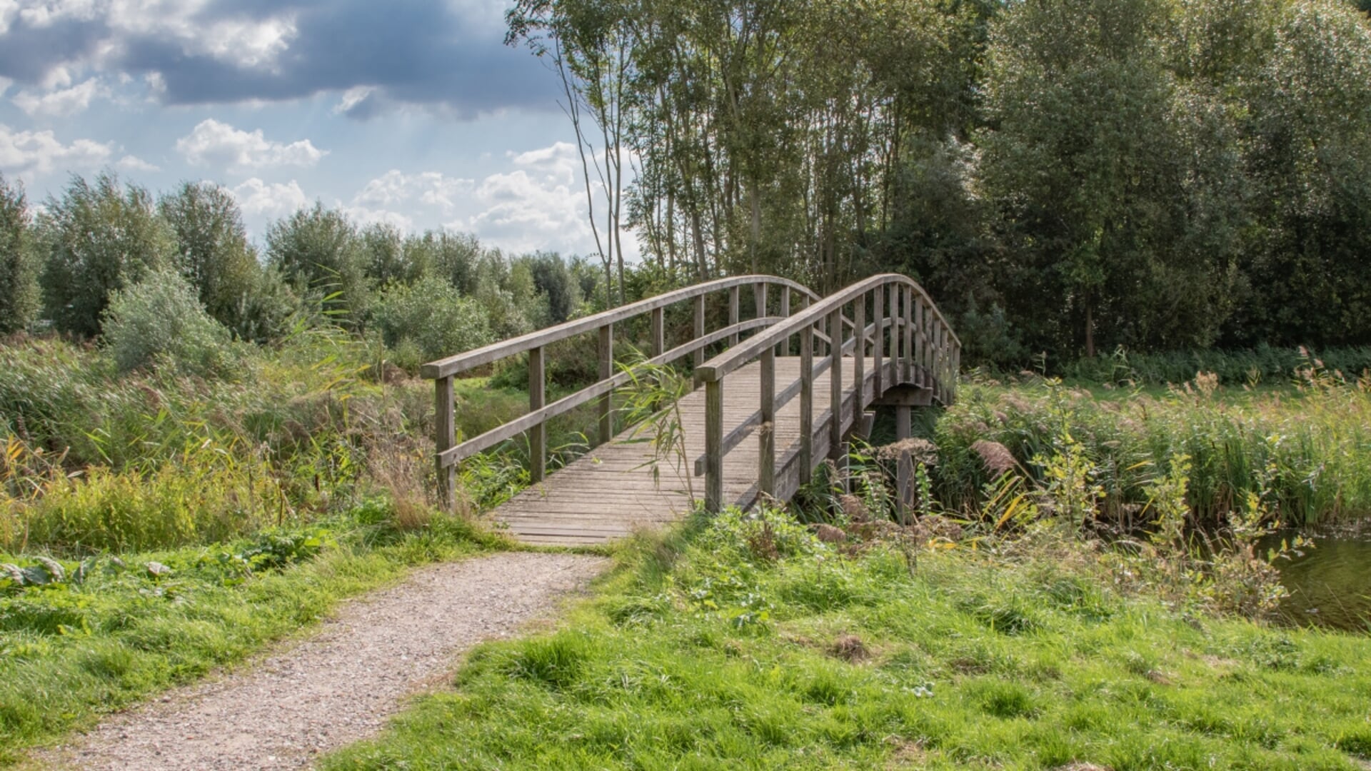 Start uitbreiding bosareaal Midden-Delfland - Al het nieuws uit Delft