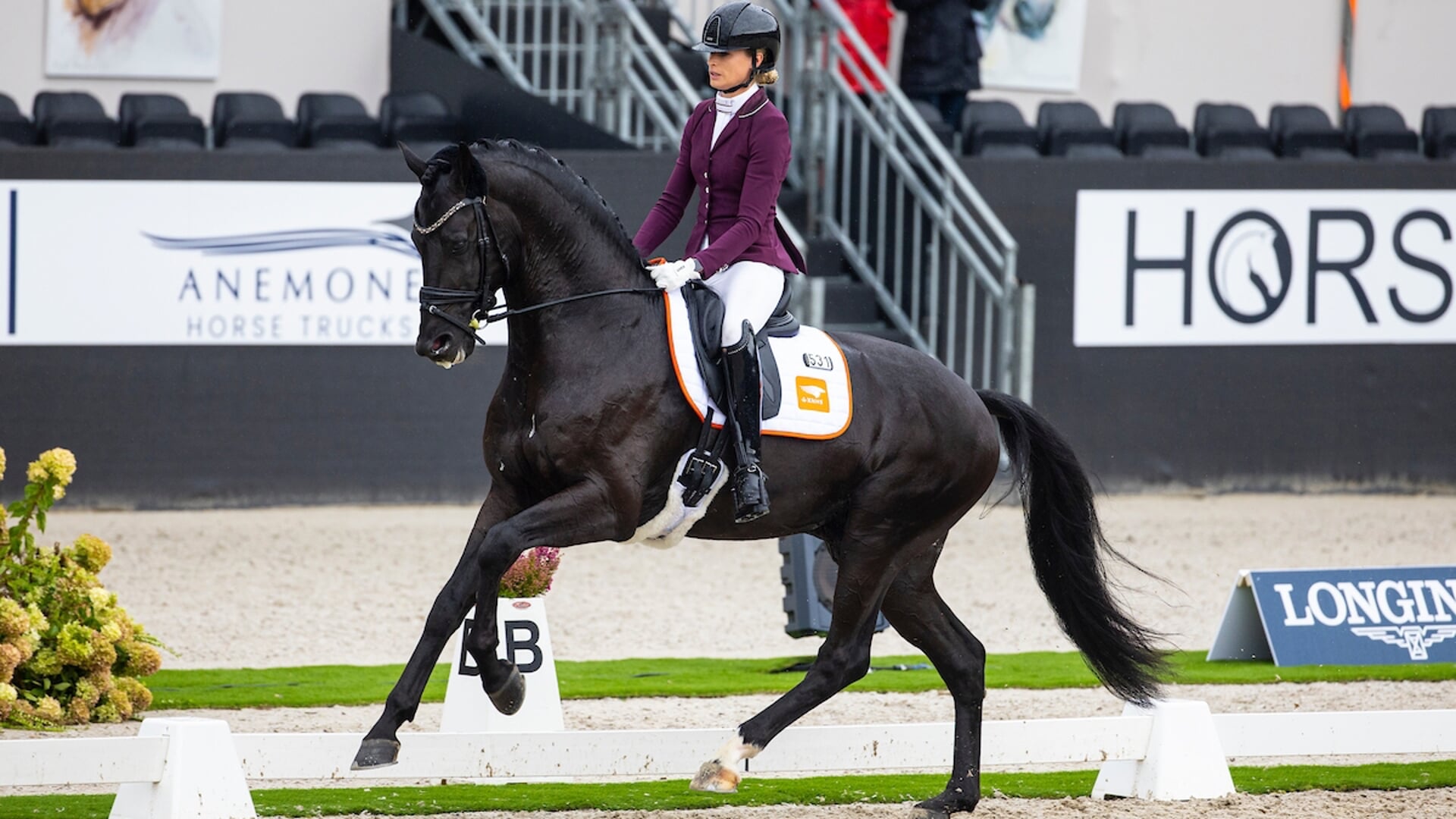Reesink Horses met drie ijzers in het vuur richting laatste ...