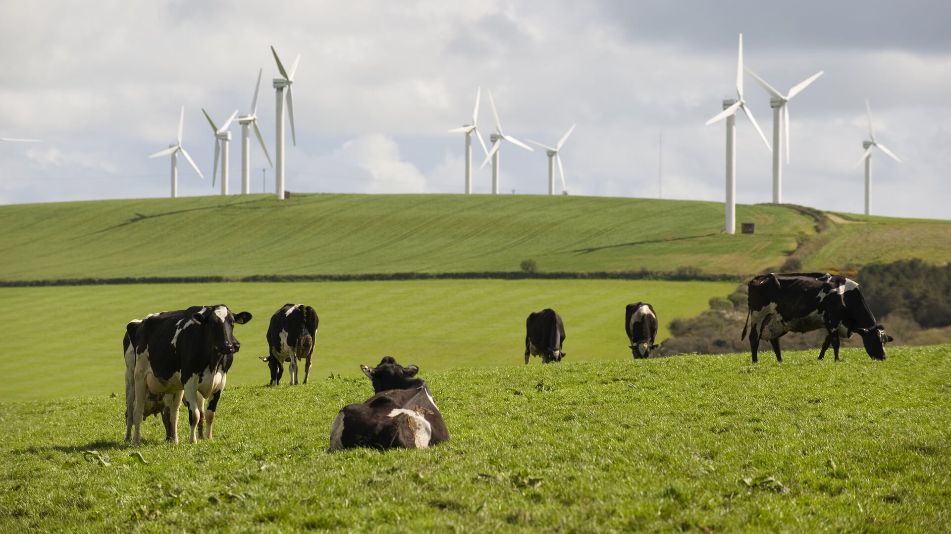 Staatssecretaris: geen nieuw onderzoek naar zwerfstroom Flakkeese boerderijen