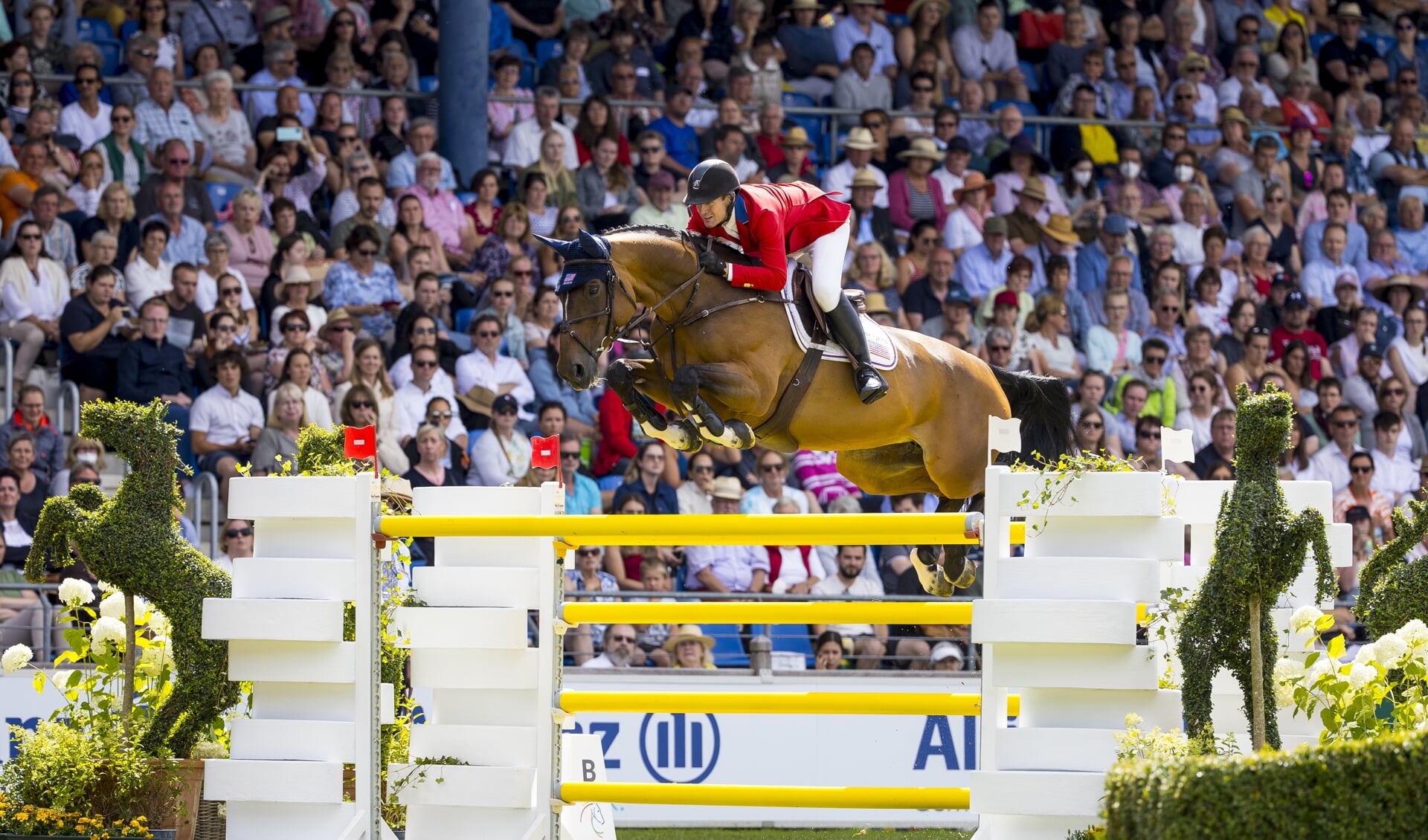 Fokster van grootverdiener HH Azur Nathalie Beaufort: “Geef paarden de ...