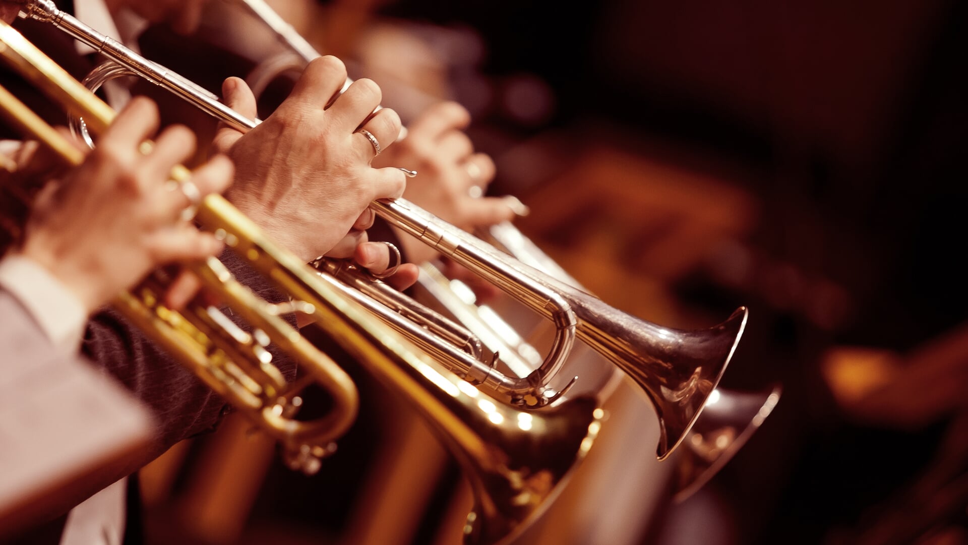 Muzikale avond met Harmonie Apollo in Ons Dorpshuis