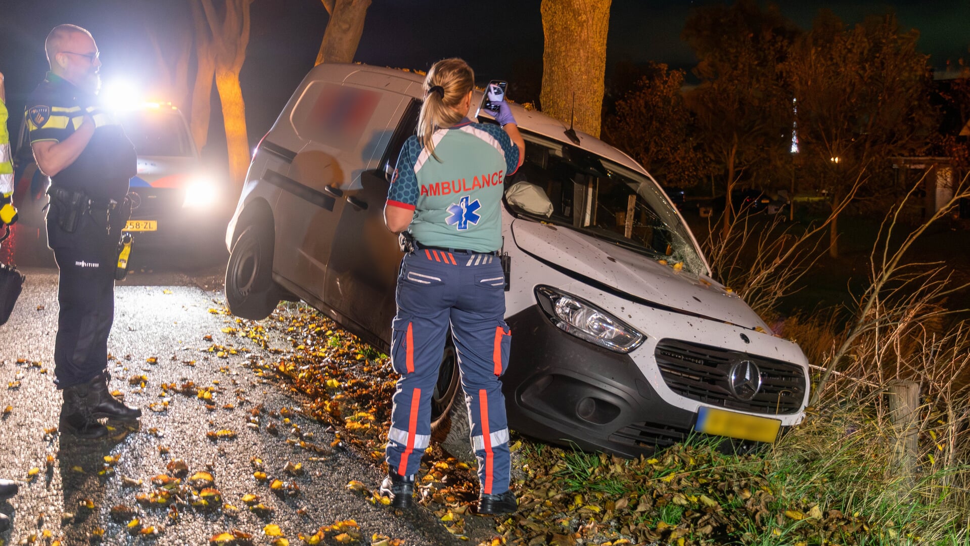 Bestuurder aangehouden na botsing tegen boom