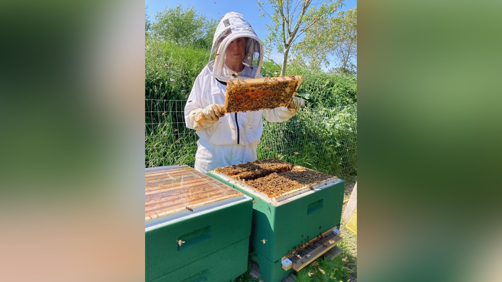Leer imkeren bij basiscursus bijenhouden