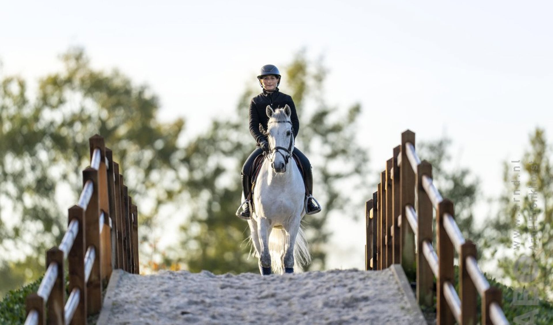 Wat moet ik doen als mijn paard scheef loopt? - Bit & Cap