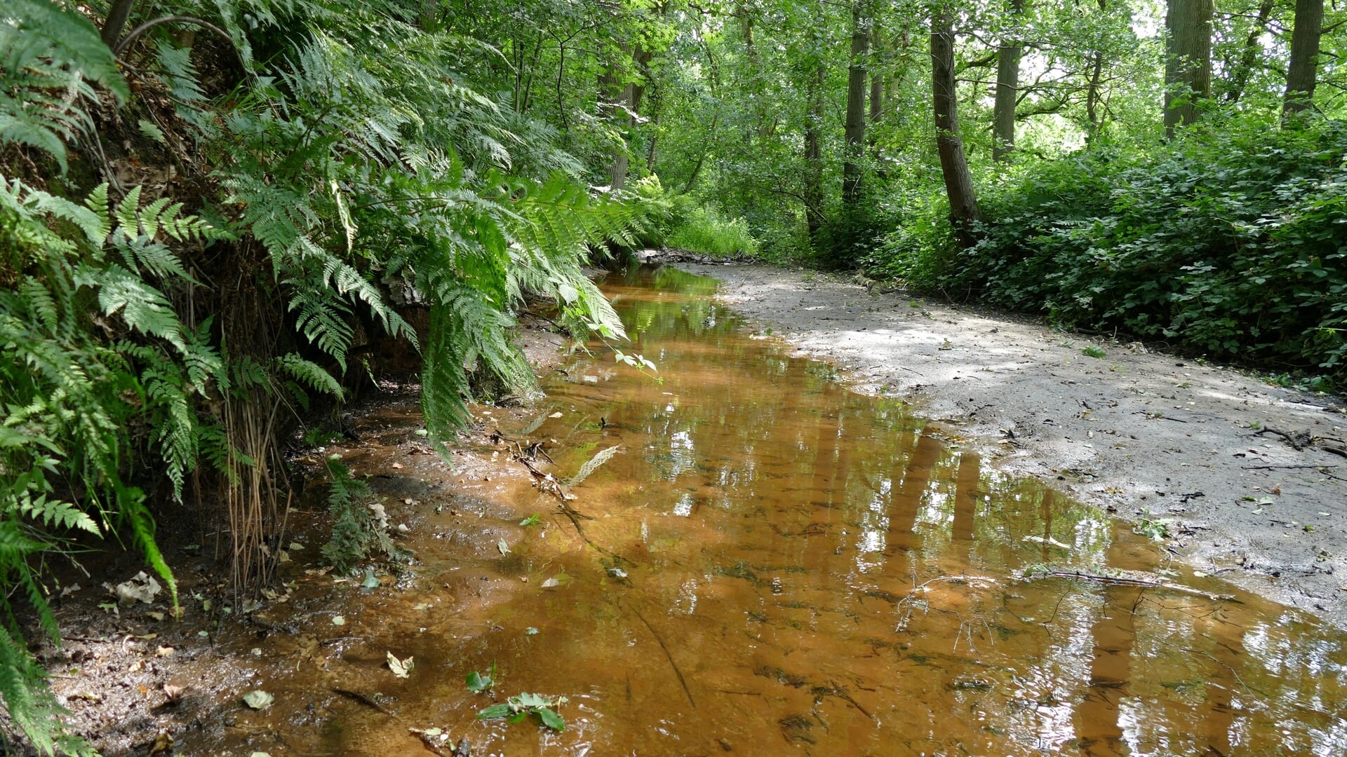 Verbod gebruik beek- en slootwater uitgebreid naar hele Dommelgebied