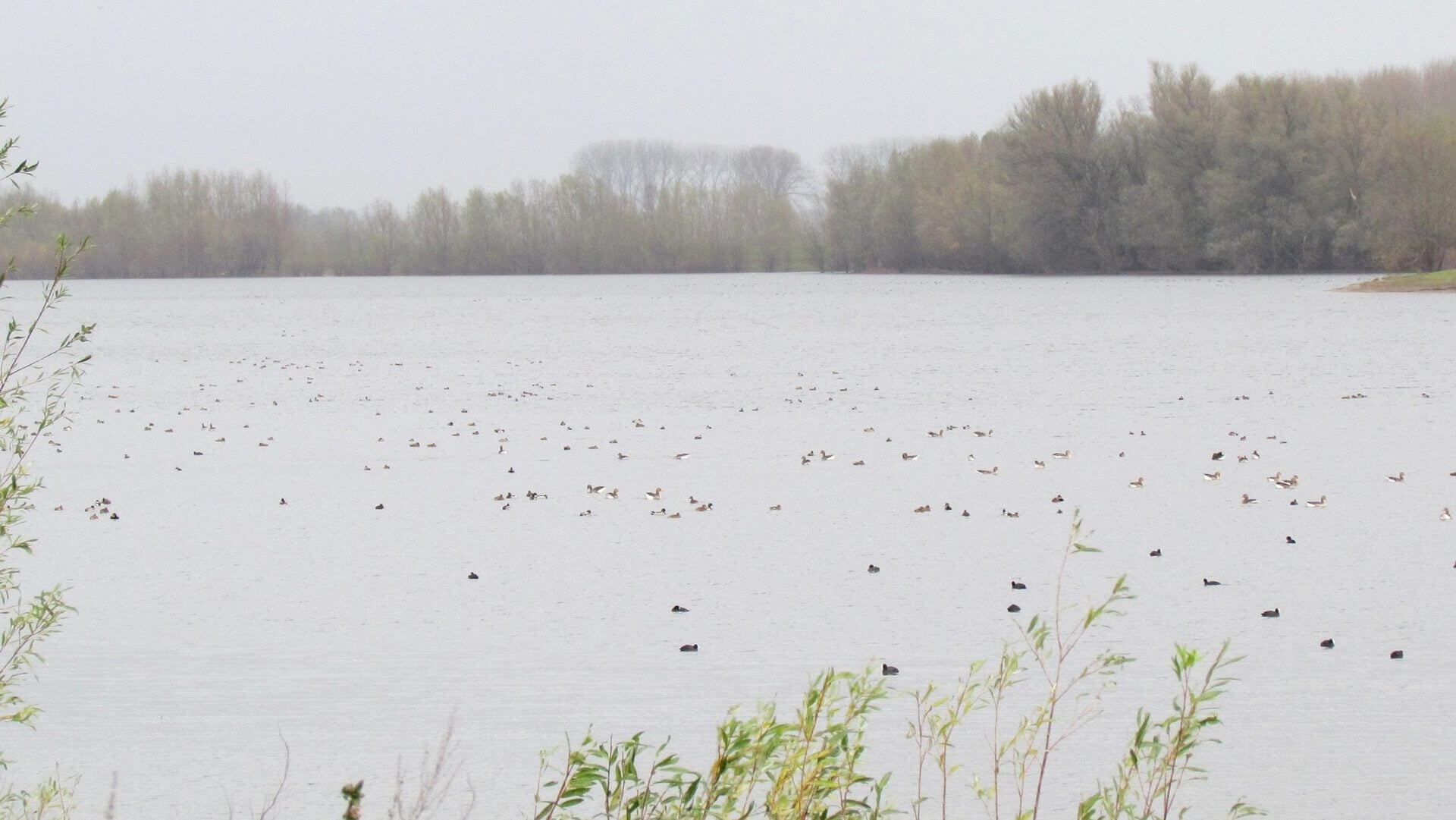 IVN excursie