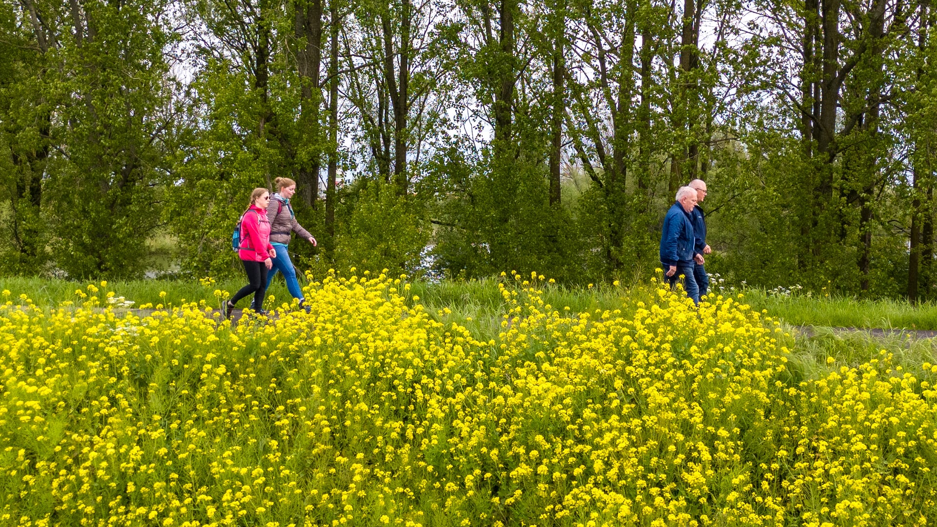 ‘De vrolijke Tippelaars’ organiseren Leeuwenmars