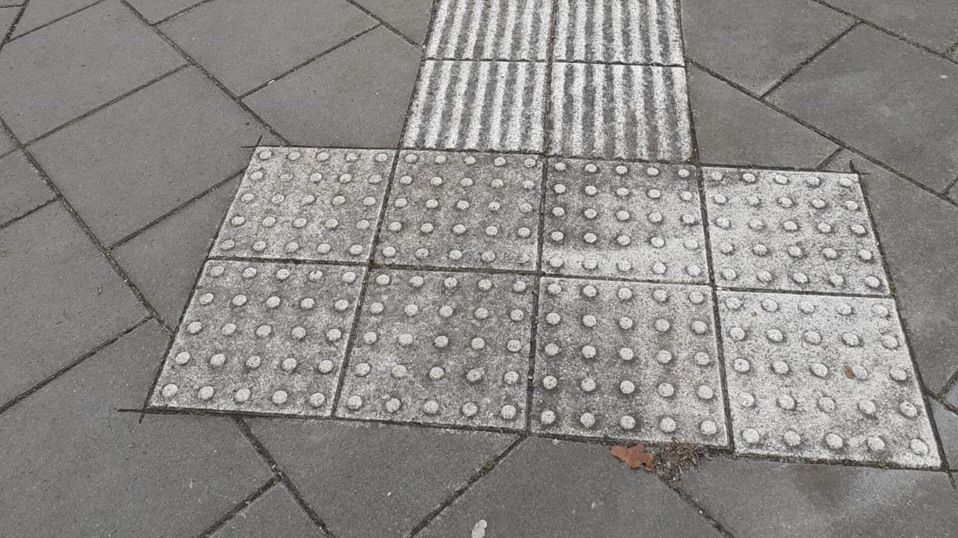 Veilige oversteek op Dag van de Witte Stok