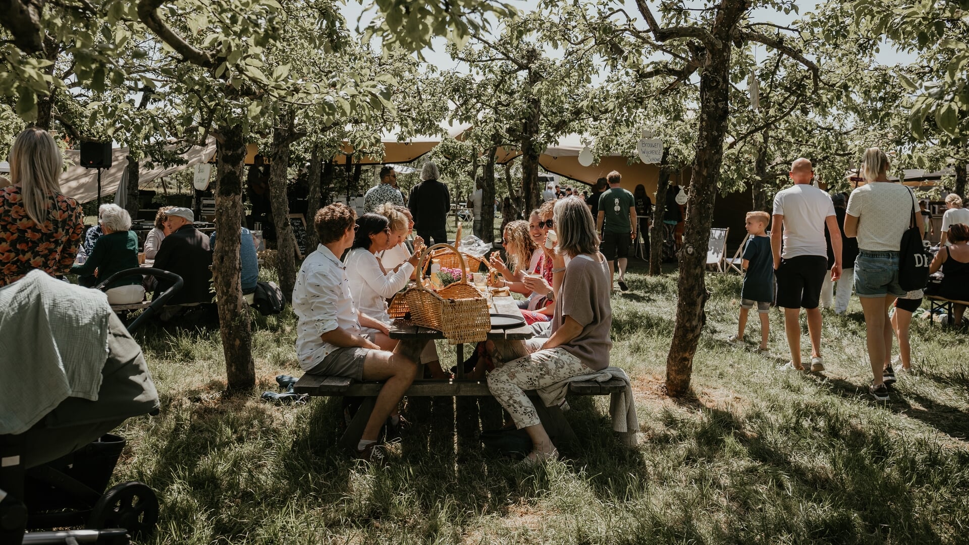 Bloei Festival in dorpsboomgaard
