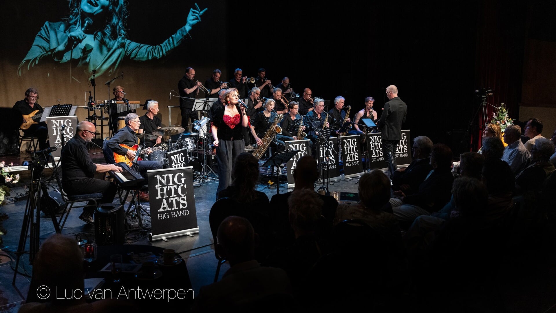 De NightCats Bigband presenteert: The Dutch Songbook