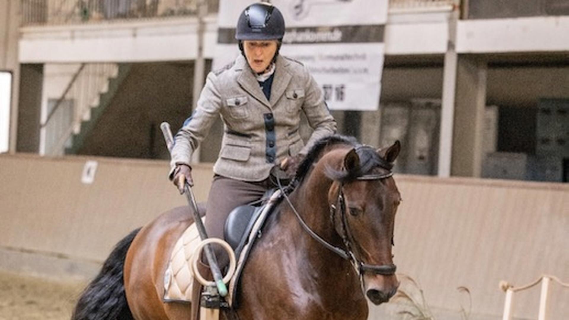 Bixie Cup: Hoefjes en Toverkracht