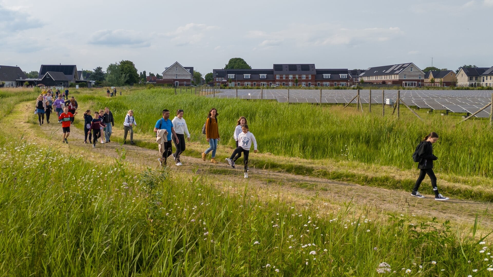 Lauwse Wandel3daagse