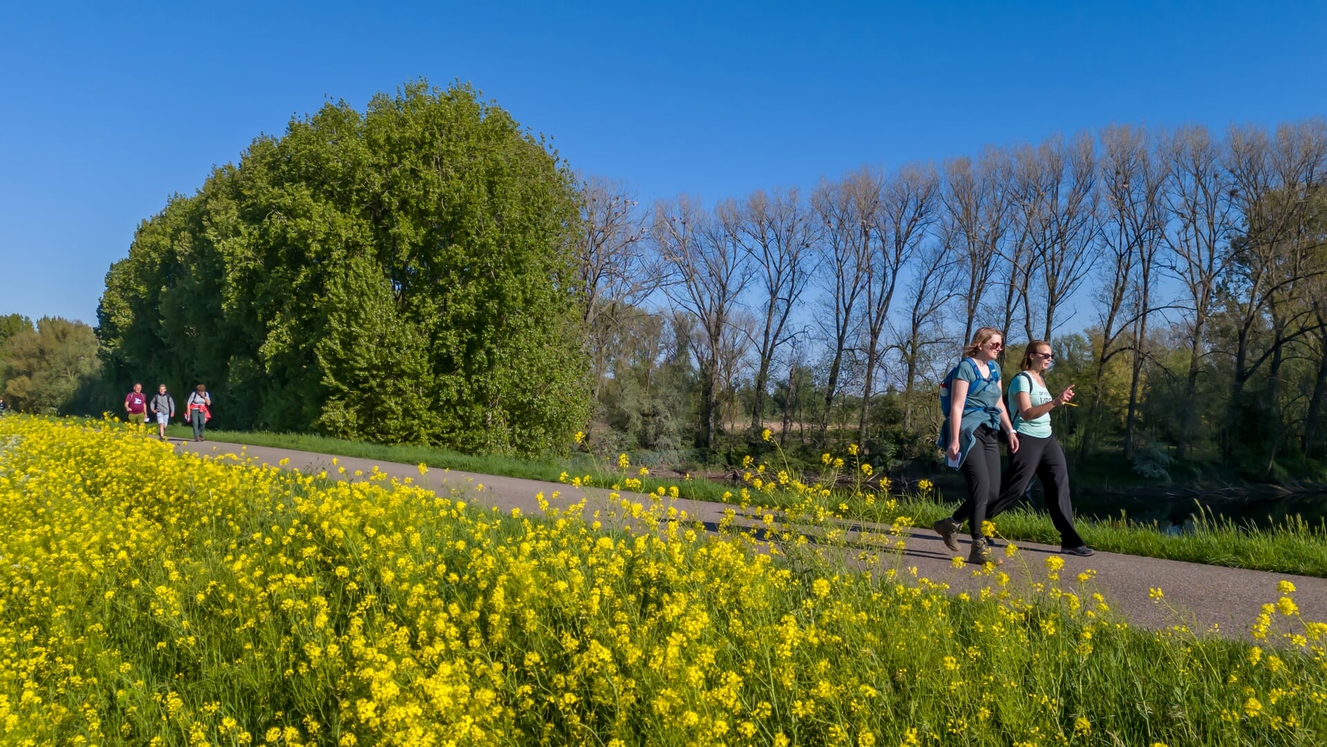 Braoiersloop; bewegen en genieten ineen