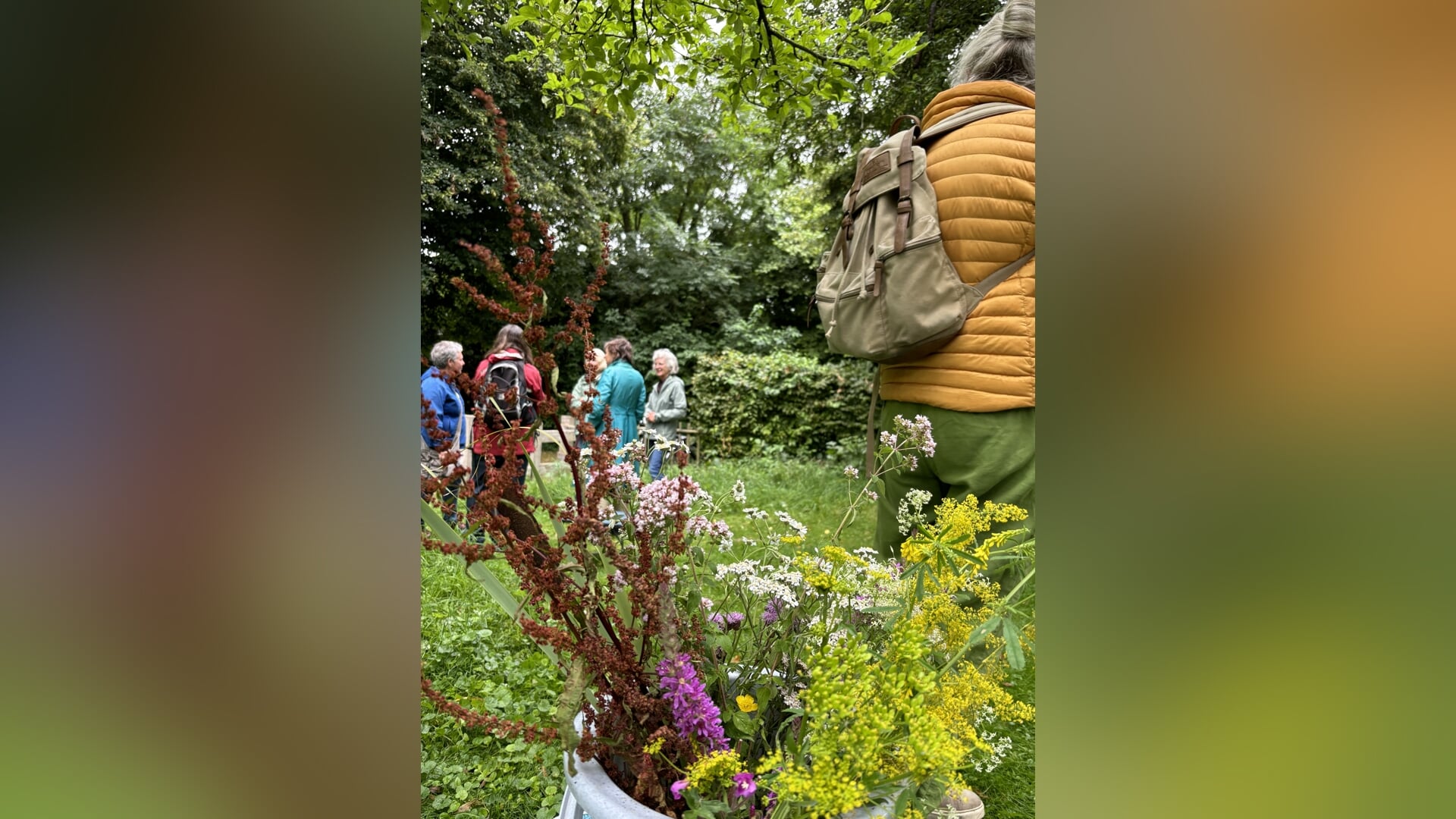 Wildplukken tussen Wiel en Waal