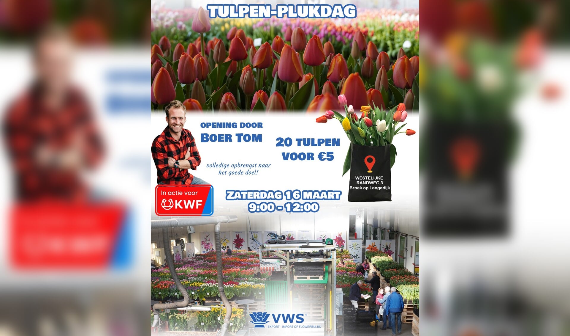 Tulpen plukdag bij VWS met opening door Boer Tom