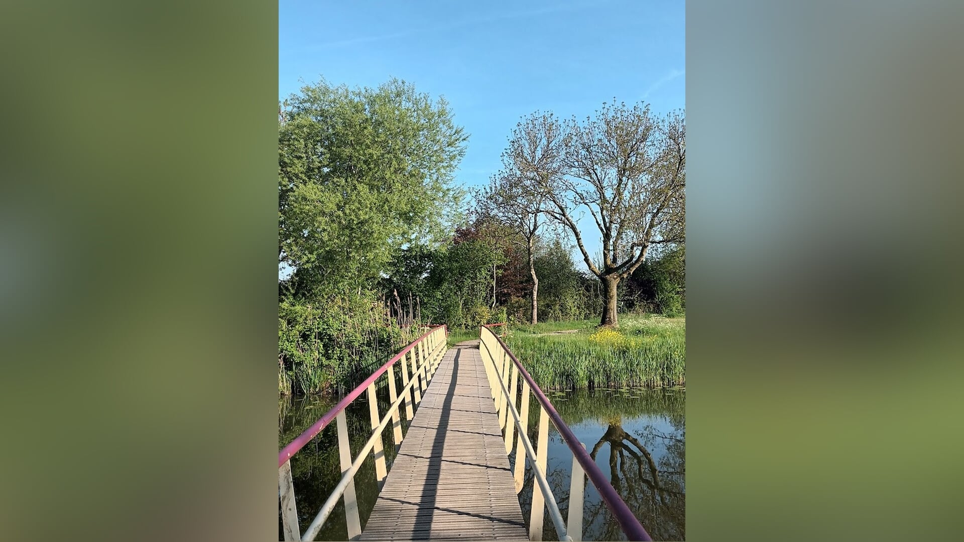 Fietsend door Maas en Waal (2)