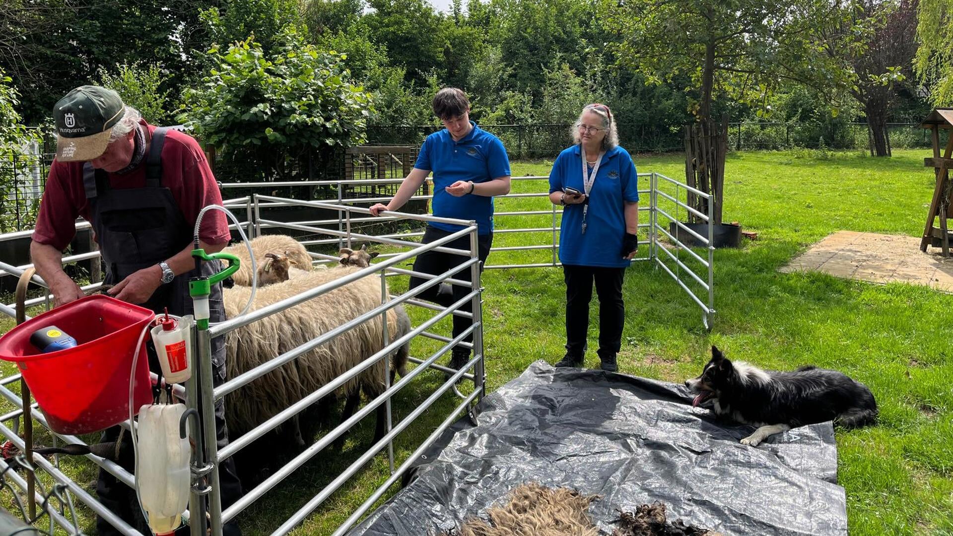Open Dag bij Het Dierenplein