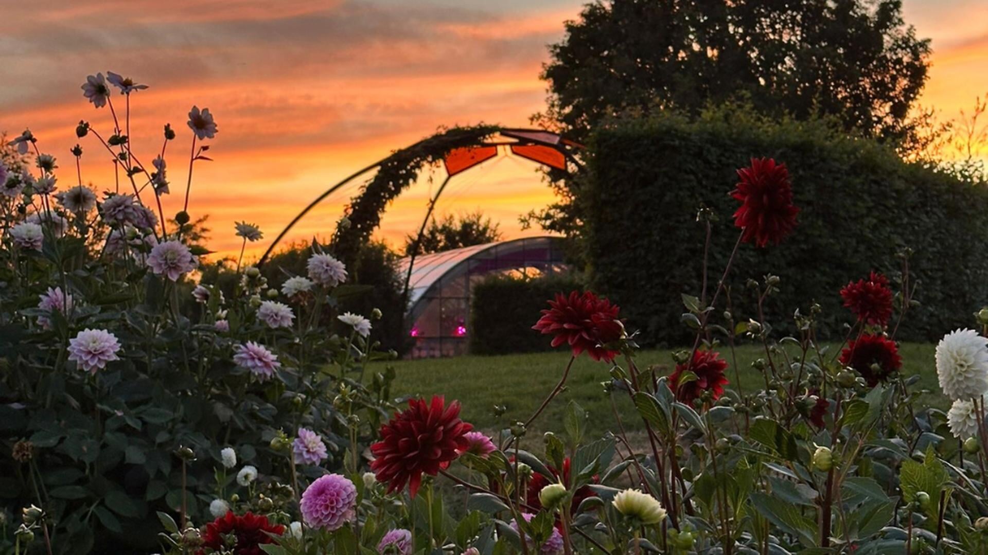 BloemenBalsem