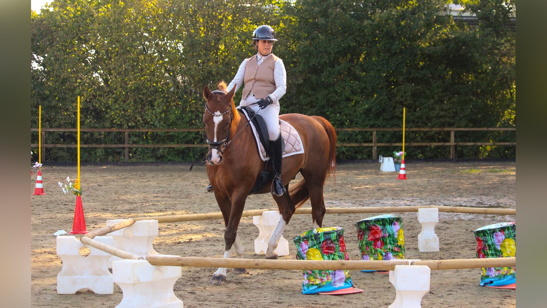 Working Equitation wedstrijd
