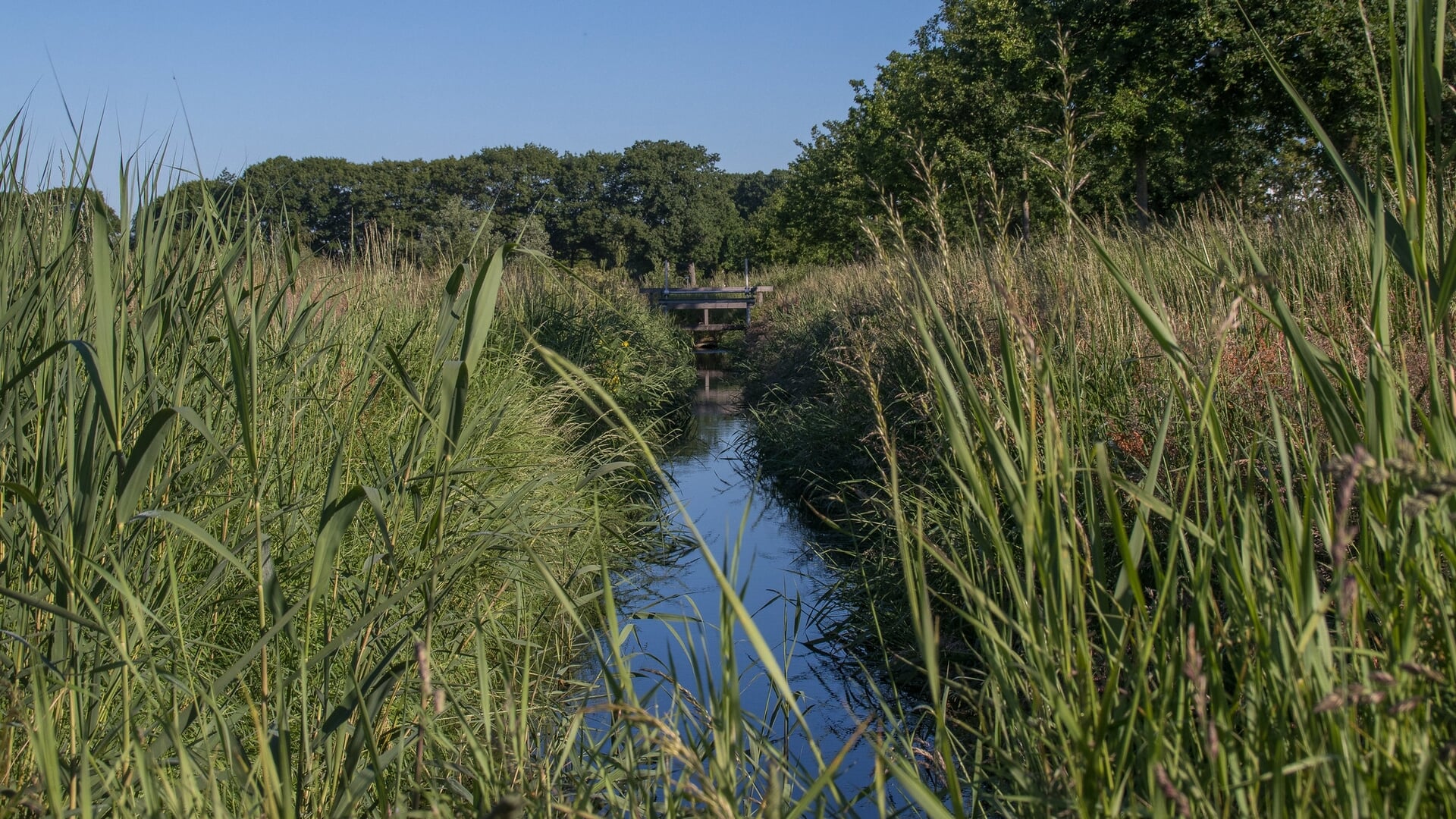 Waterschap Aa en Maas stelt onttrekkingsverbod in voor oppervlaktewater in hele werkgebied