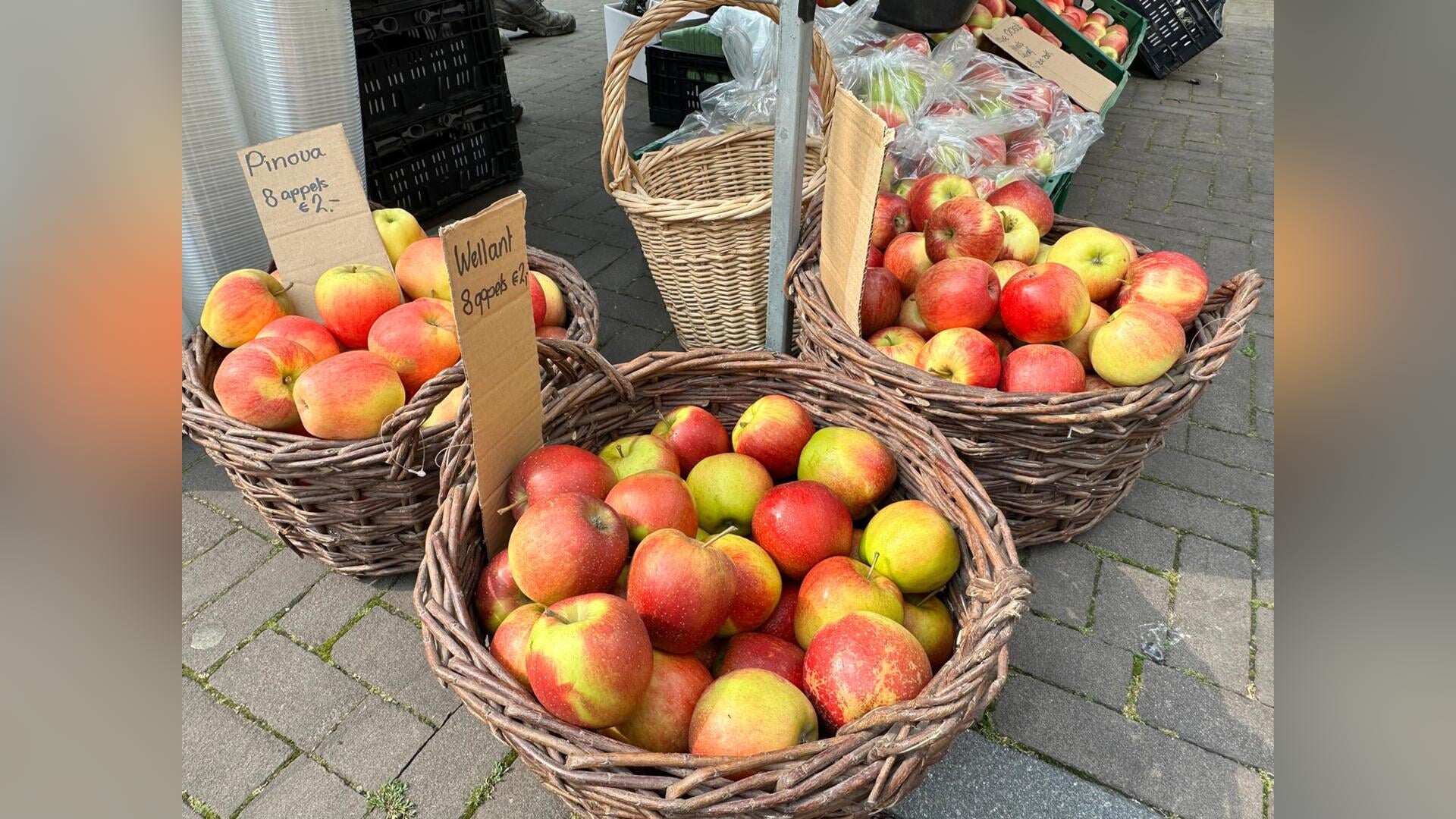 Appelactie Scouting Don Bosco