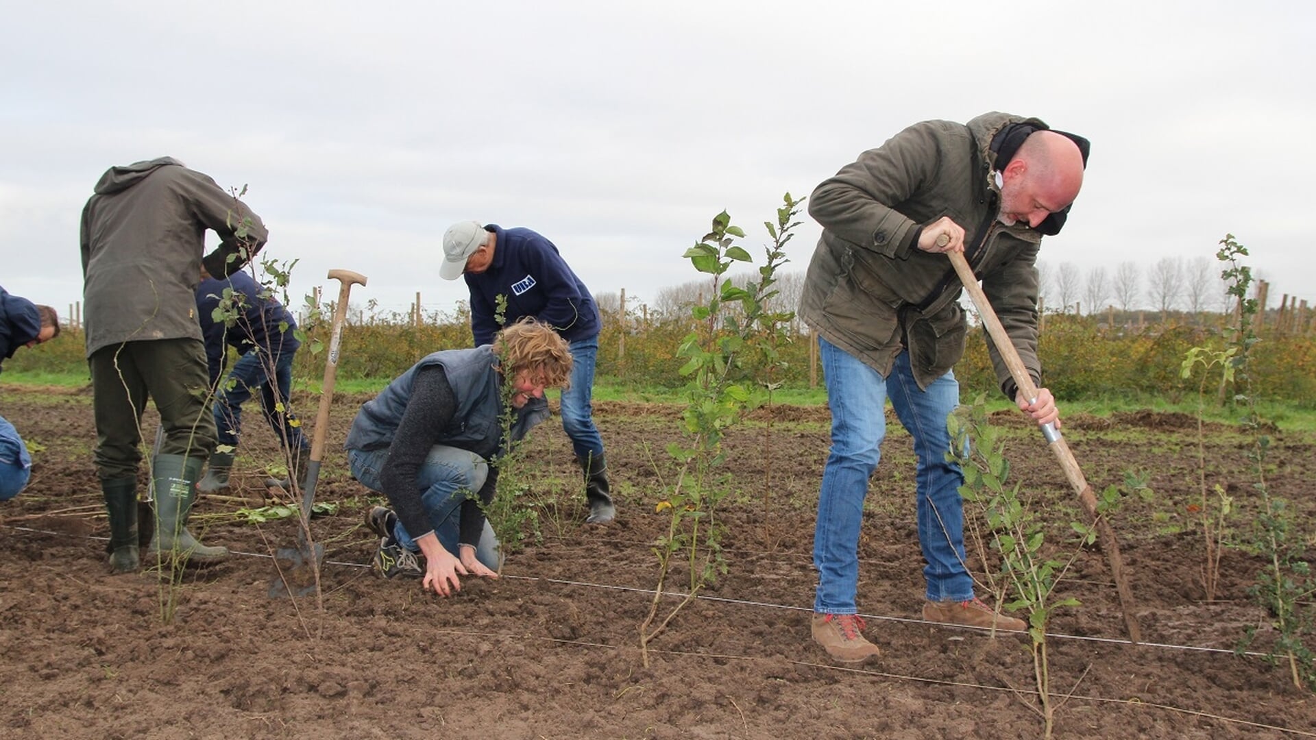 Nationale Natuurwerkdagen