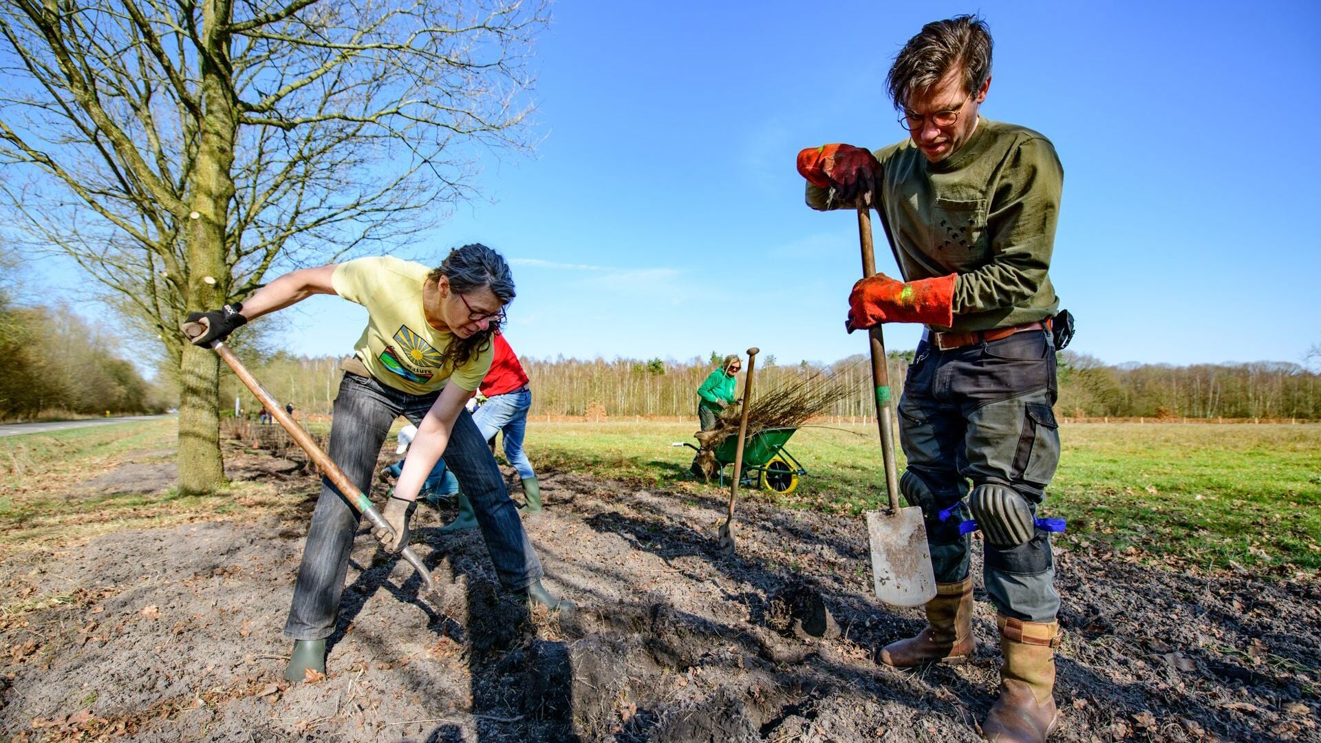 Samen heggen planten in Horssen