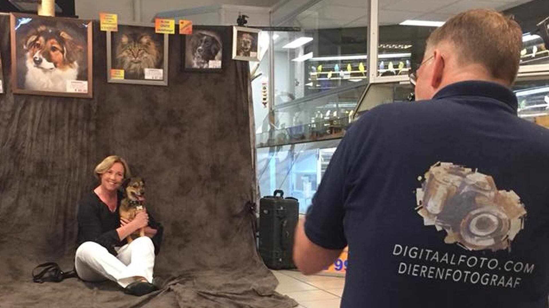 Gratis foto van je huisdier