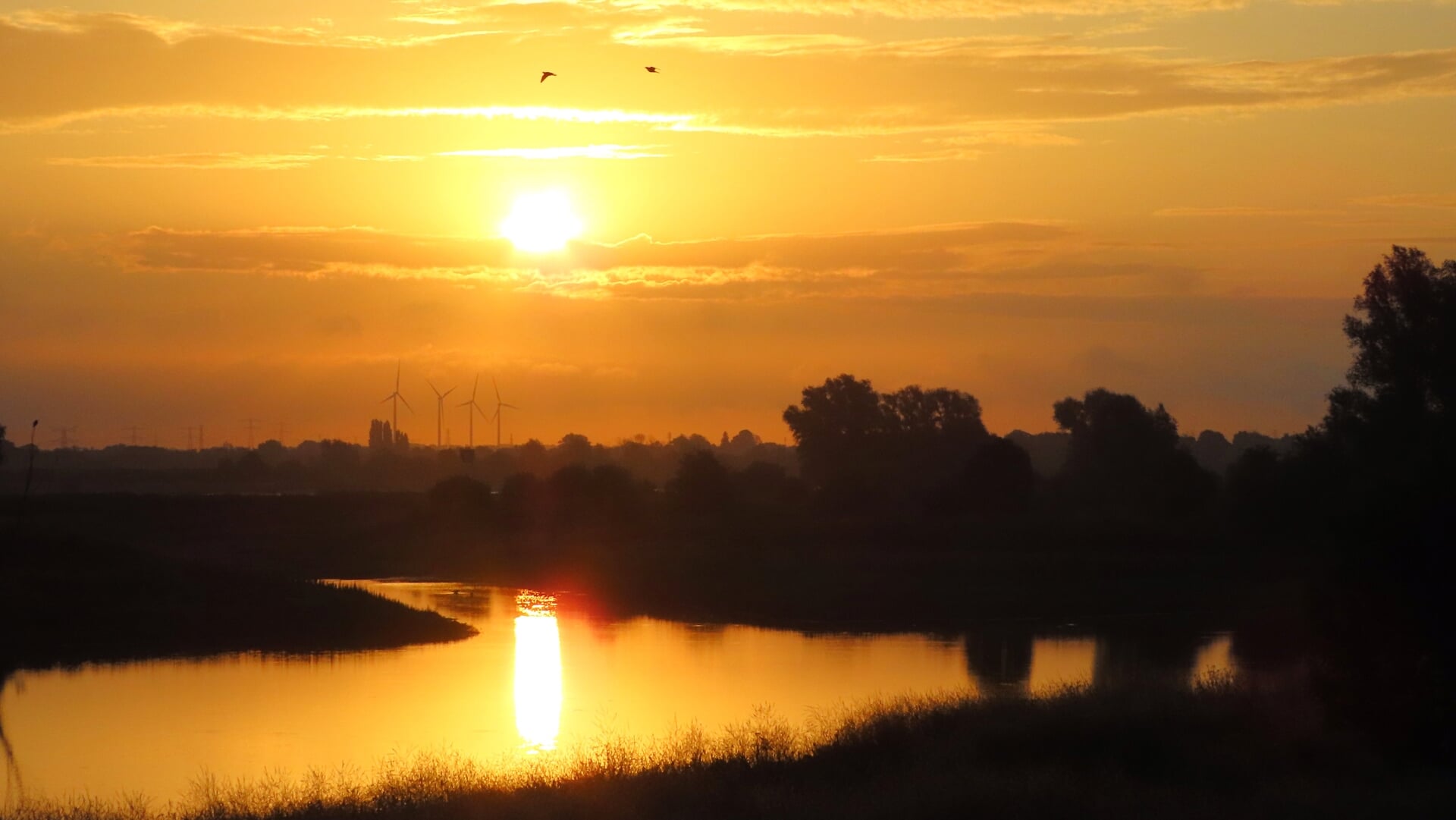 Grondonderzoeken langs de Waaldijk tussen Boven-Leeuwen en Dreumel