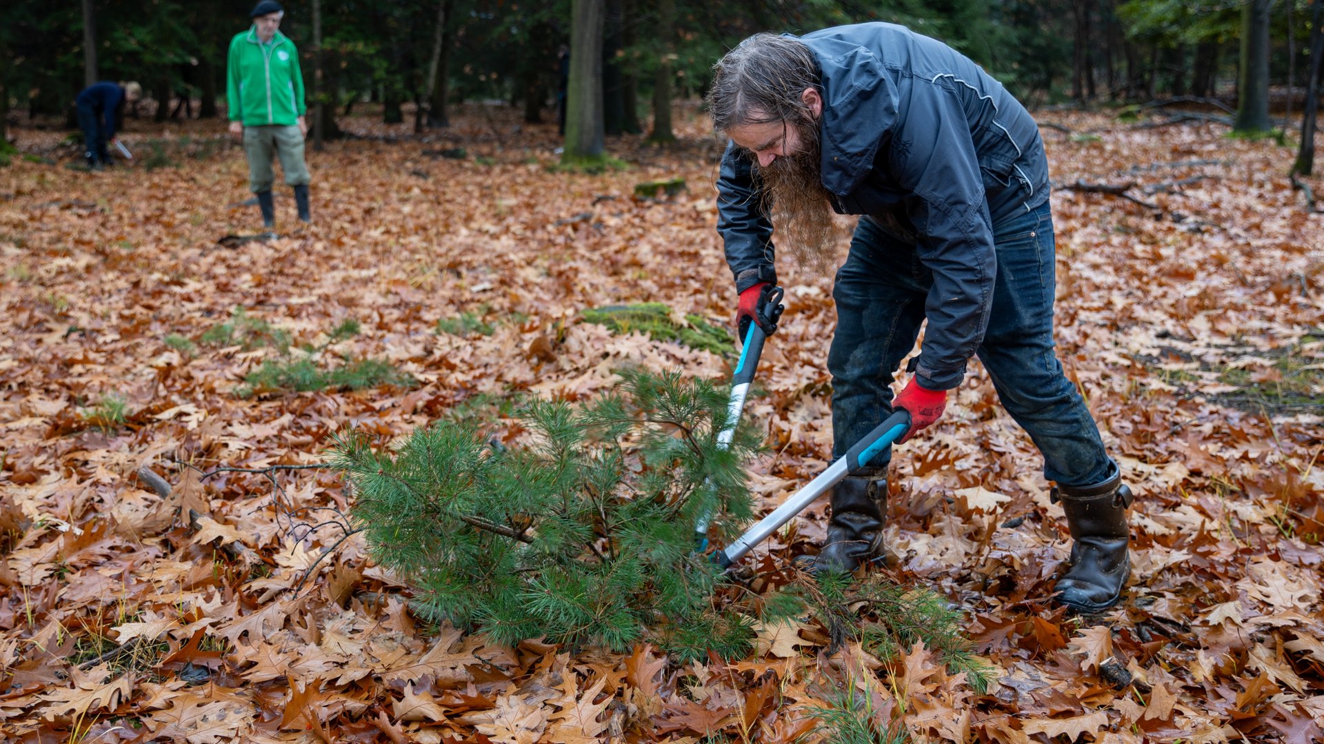 Vrijwilligers gezocht voor Natuurwerkdag