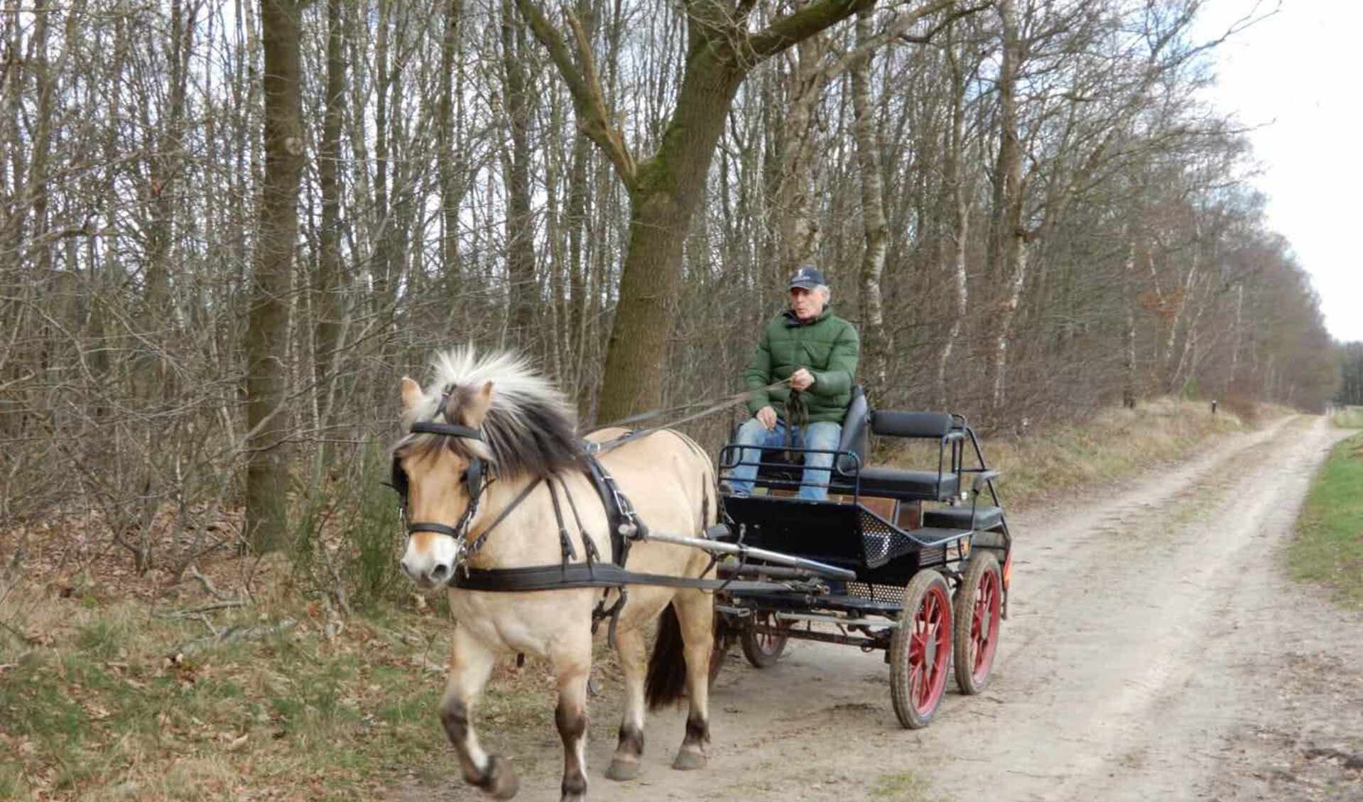 Cok van Wezel: “Fantastisch virus waar je niet vanaf komt”