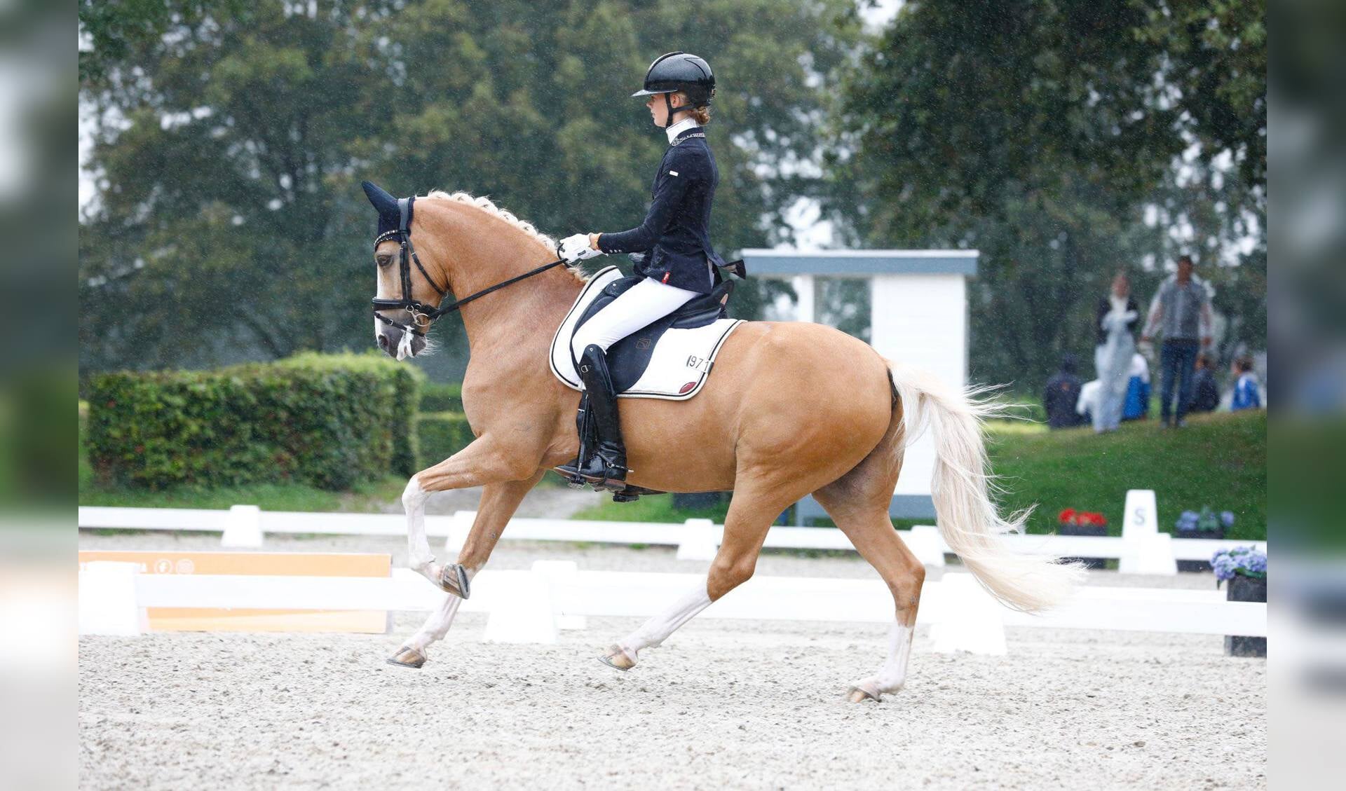 Isabella Karajkovic Nederlands kampioen met haar gouden First Hummer ...