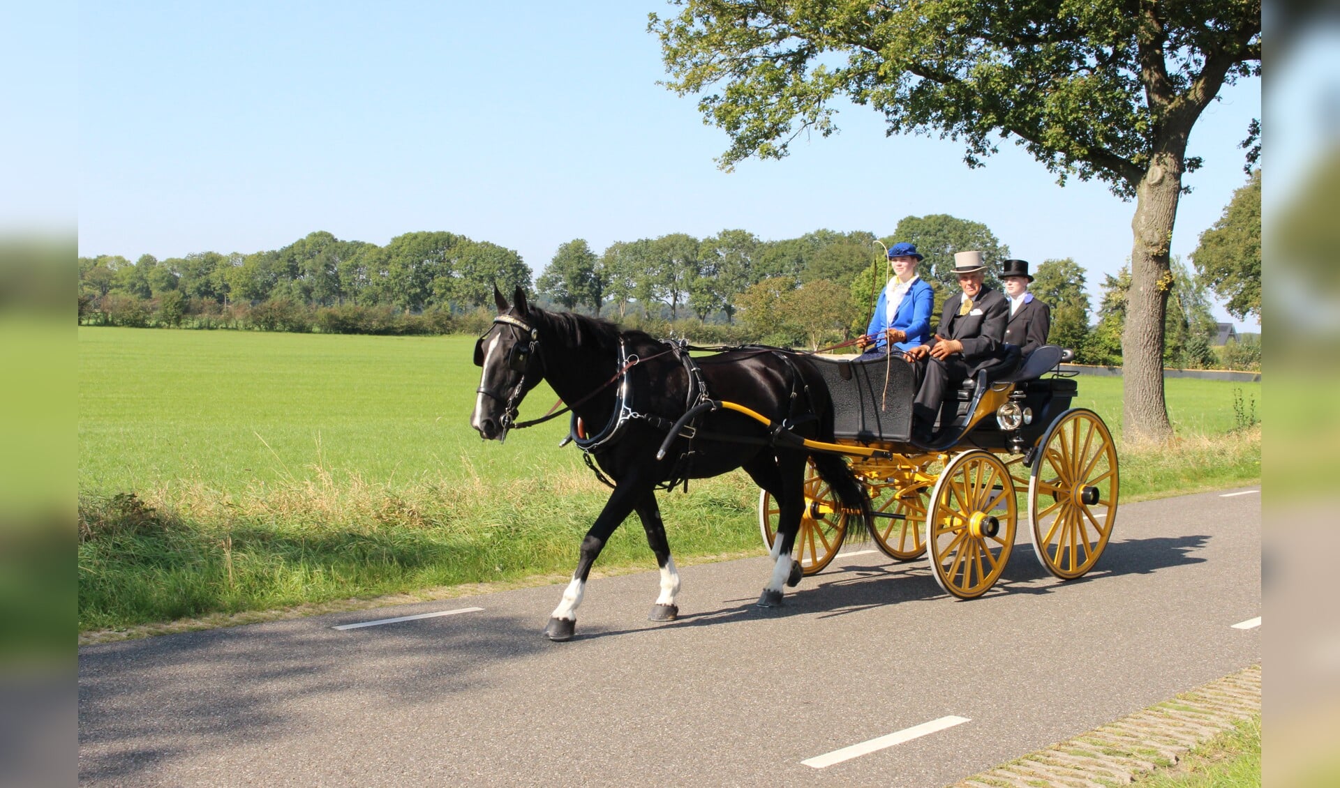 Kampioenen NVTG 2024: Ilse Sweens, Marlie Middelkamp en Henk Beniers *video