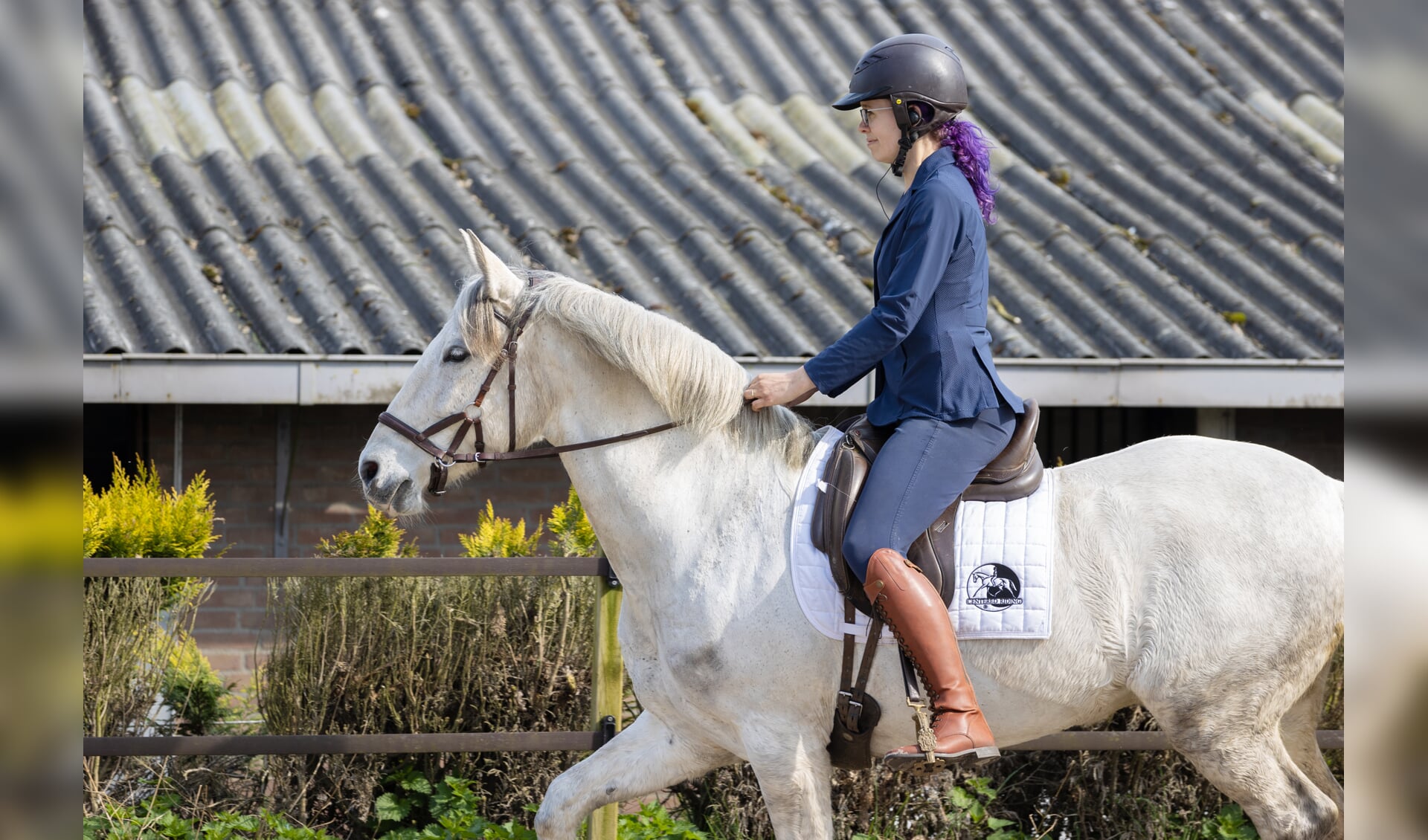 Basisprincipes van centered riding met Margreet Bouwmeester (deel 3 ...