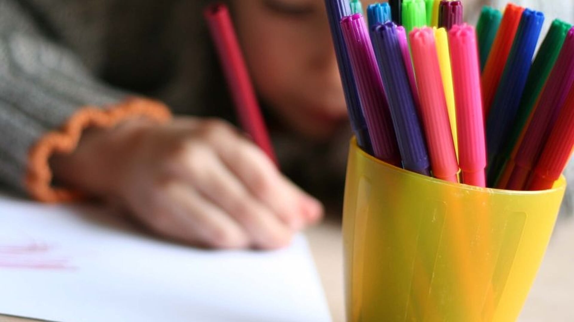 Project ‘Reizen” op Kindcentrum De Ark in Dedemsvaart
