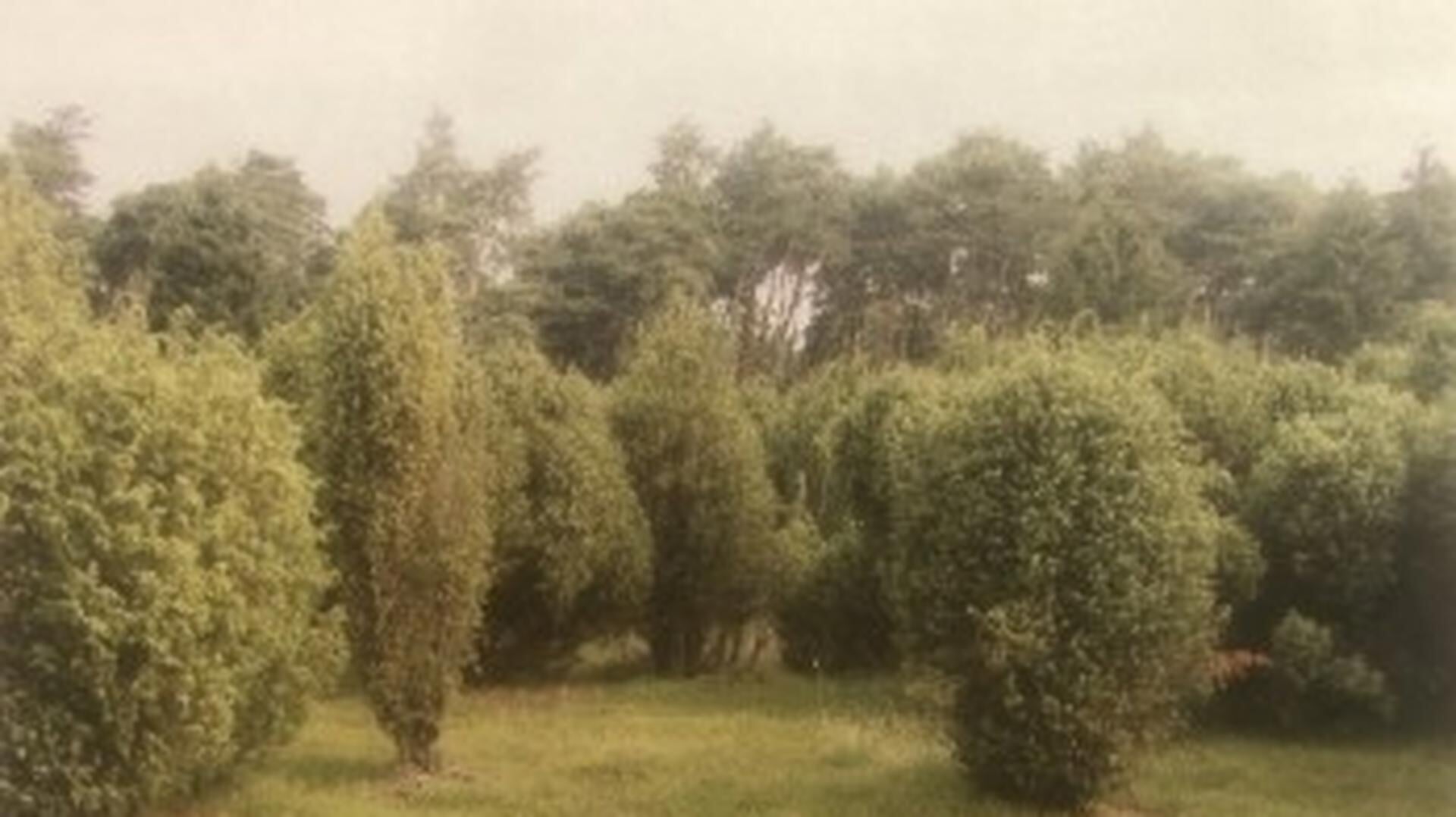 IVN lentewandeling Karshoek/Bentincksbos