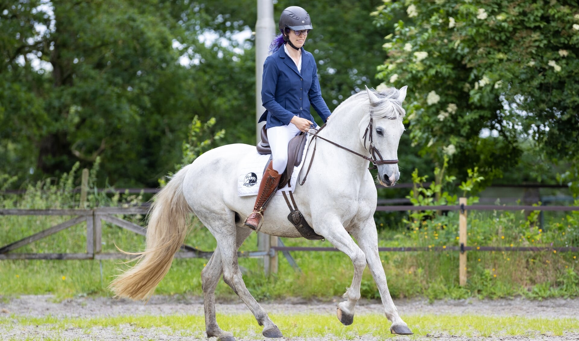Basisprincipes van Centered Riding met Margreet Bouwmeester (deel 4 ...