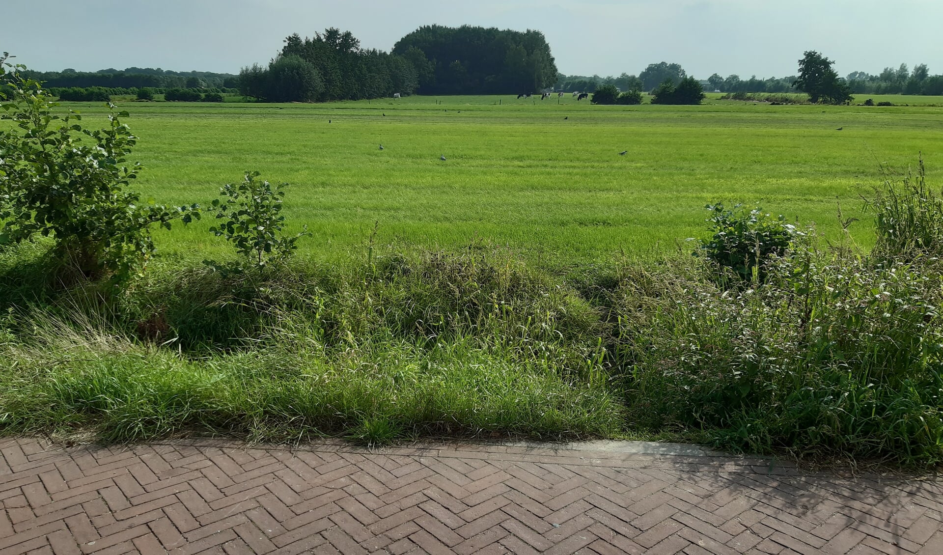 Leusden zoekt ruimte voor 750 nieuwe woningen in Leusden-Zuid en Achterveld
