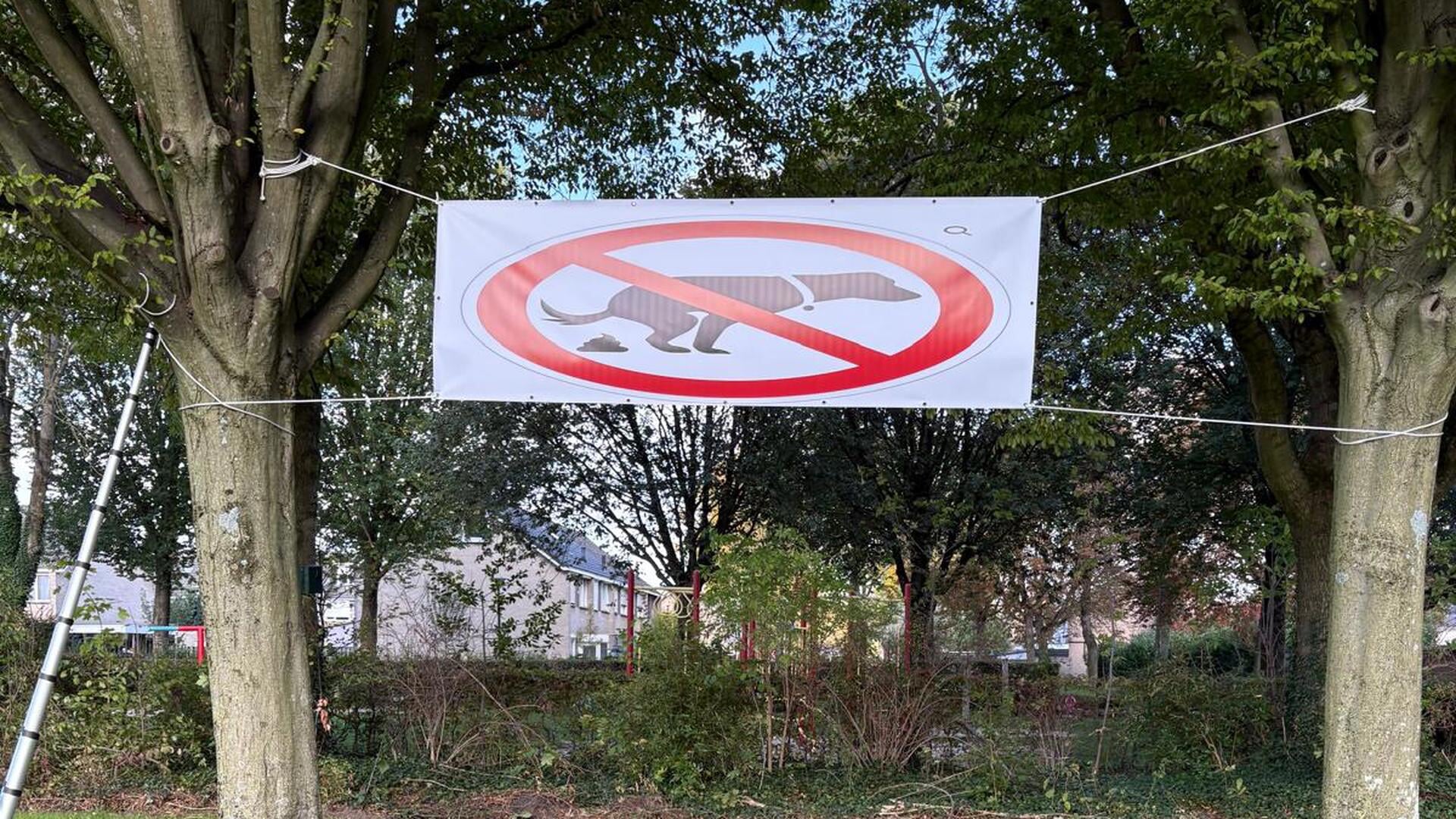 Actie tegen hondenpoep in de Houtstraat
