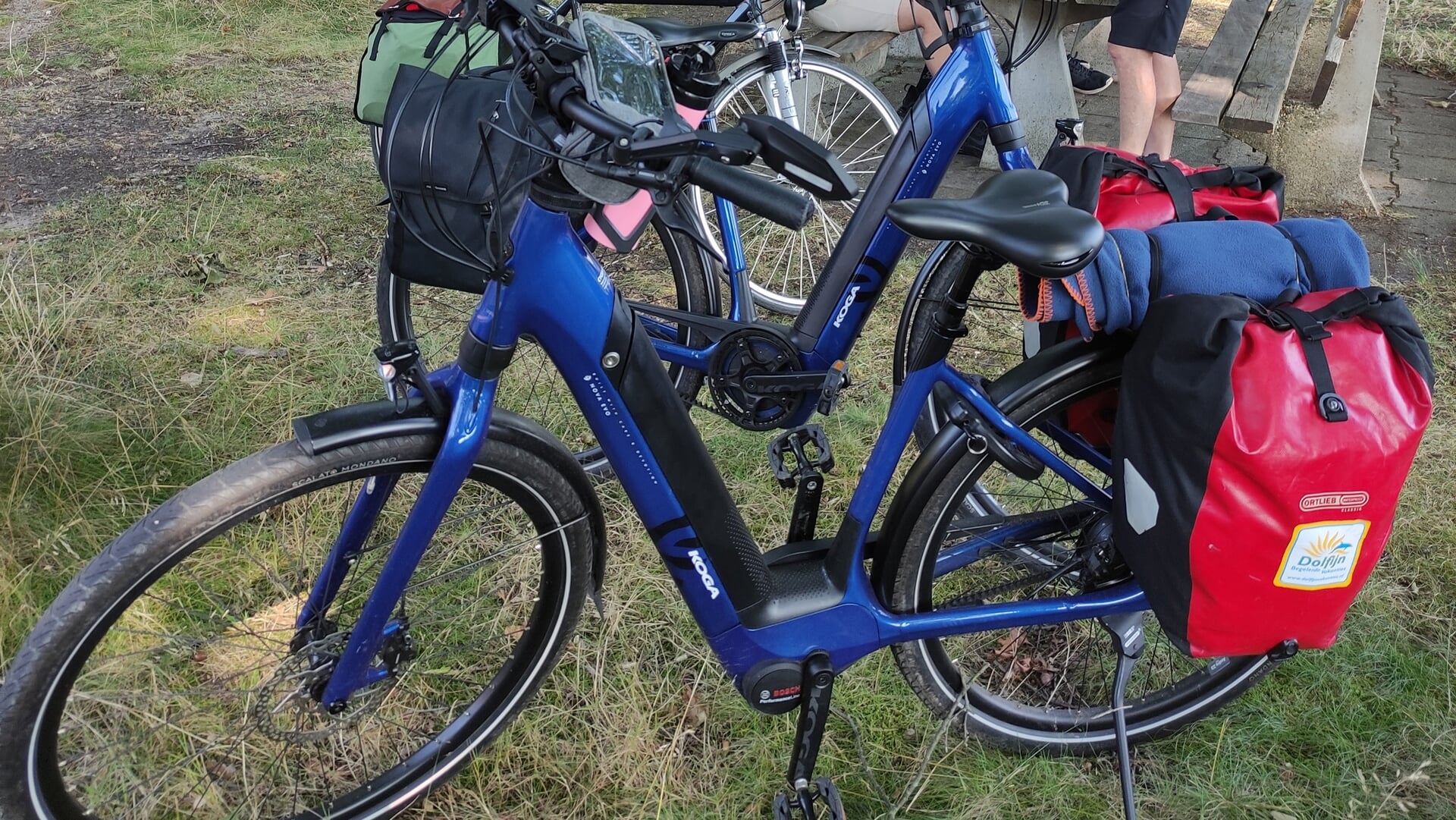 Fietsdiefstal in afgesloten kelder