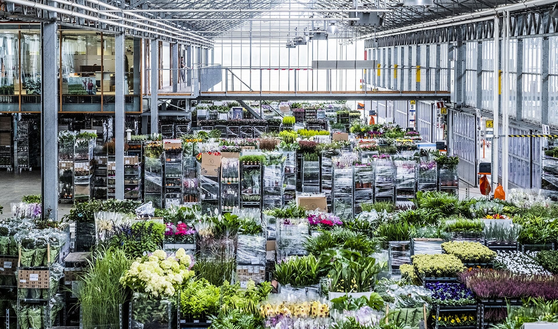 Floréac bundelt voortaan alle handelsbedrijven onder één merk’ - Al het ...