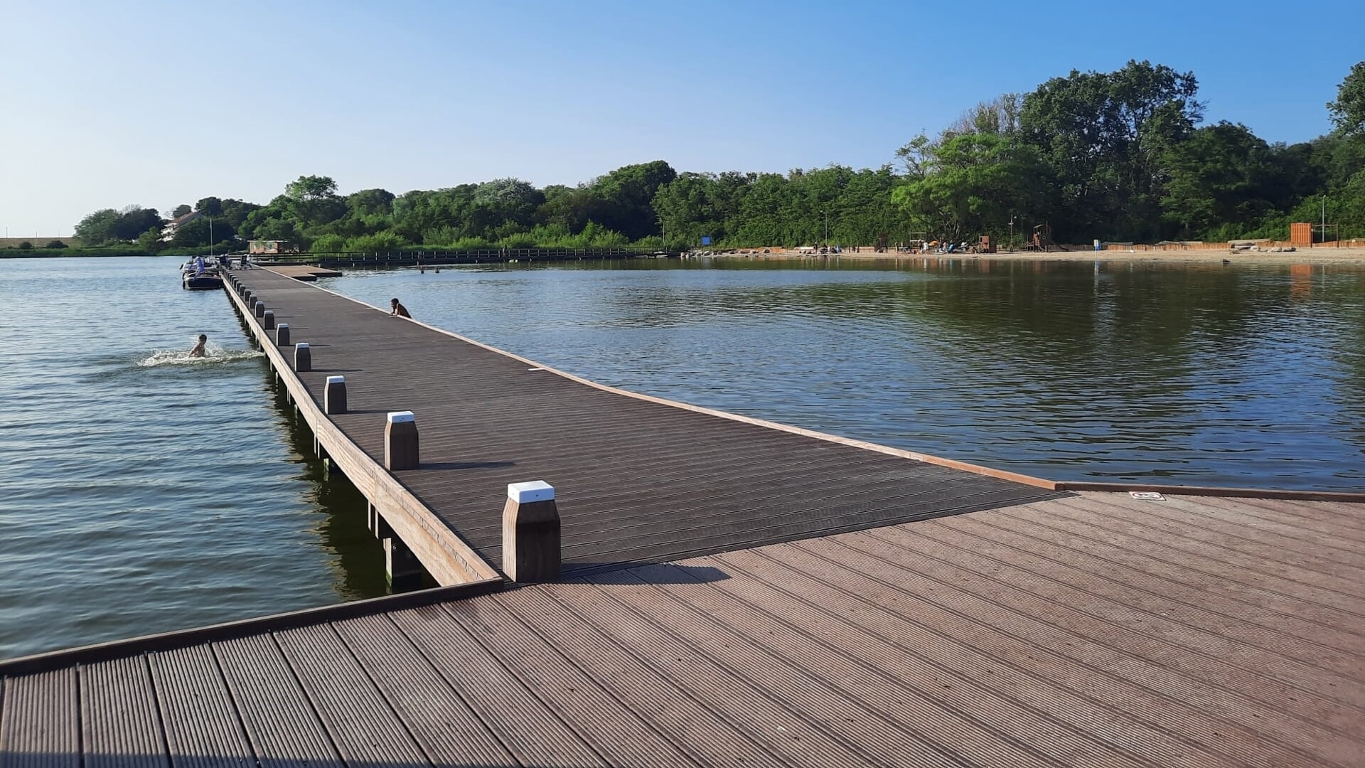 Blauwalg bij het Lutjestrand