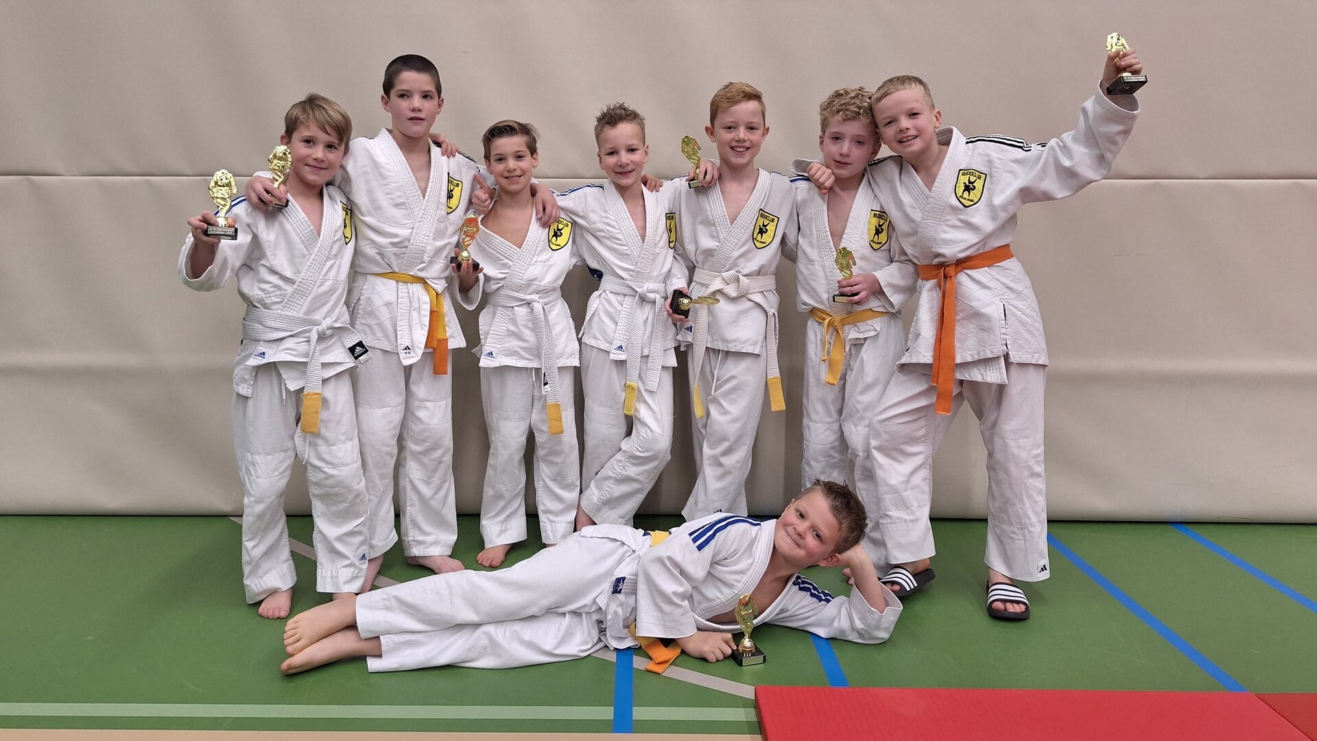 Mooie resultaten Schijndelse judoka’s in Boekel