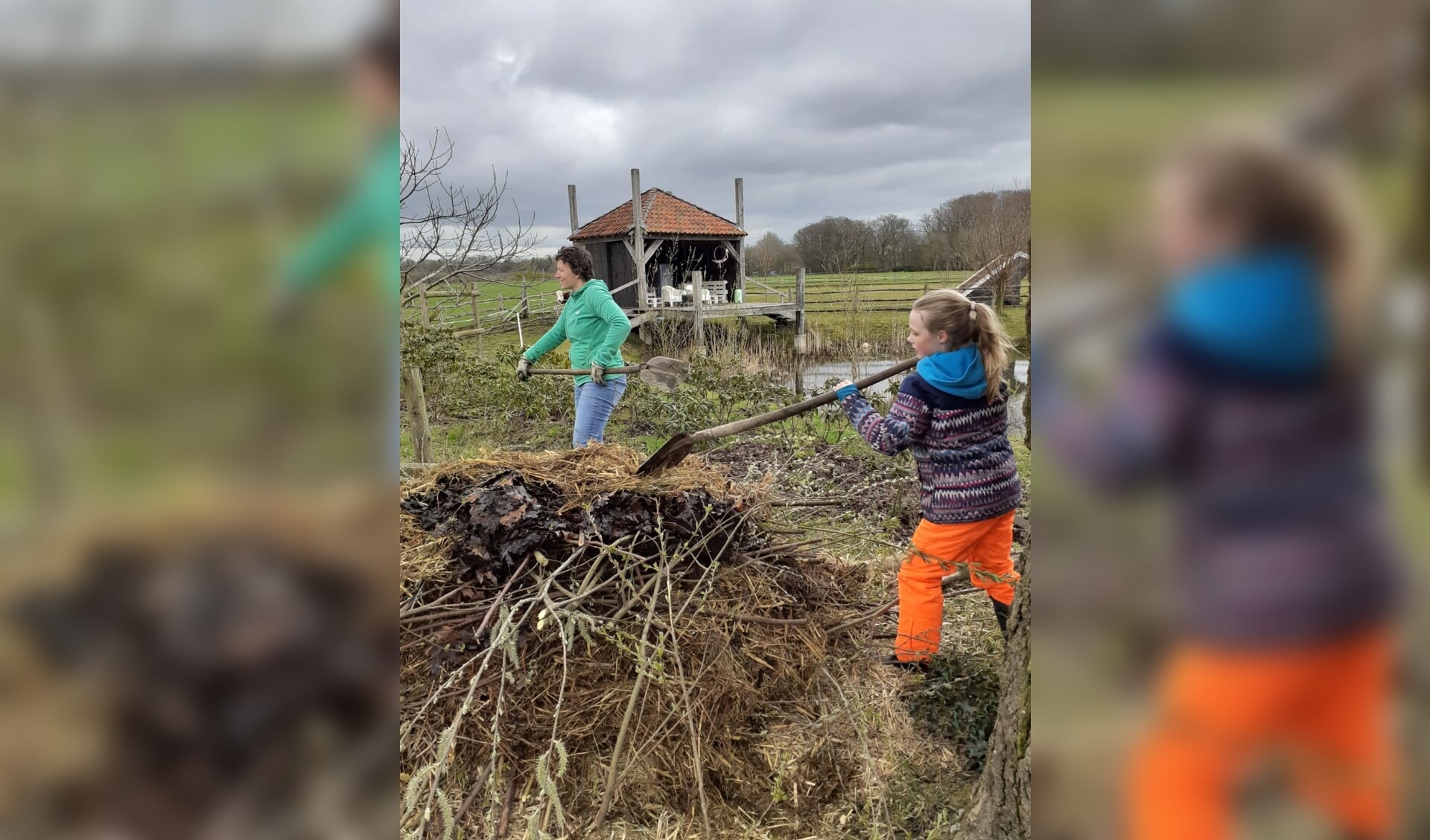 Help de ringslang, maak een broeihoop - De Toren Hardenberg