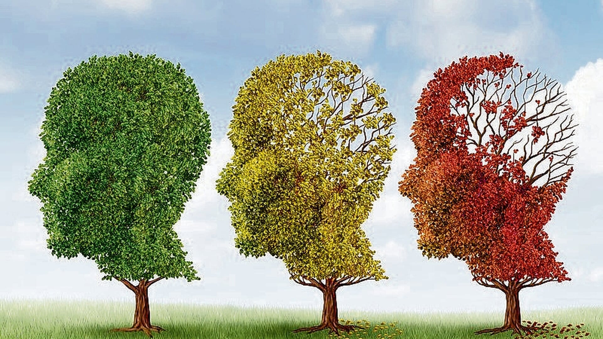 Verwenmiddag bij Alzheimer café