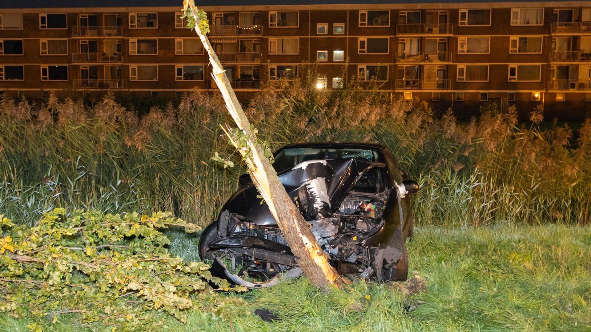 Boom in tweeën gespleten na crash tegen boom in Wormer